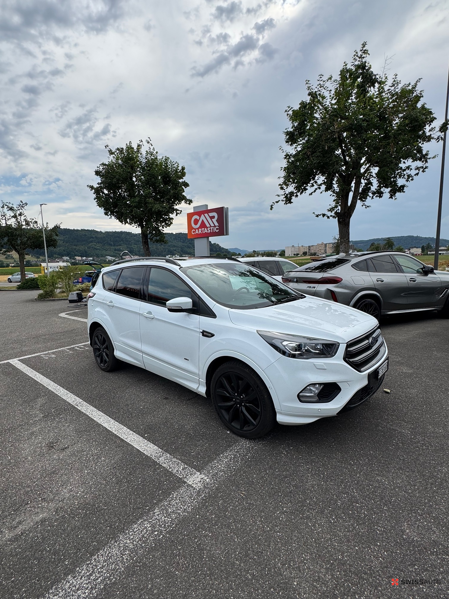 Auction Image