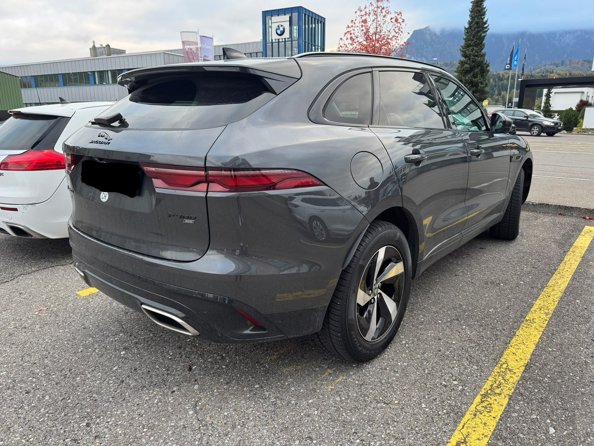 Auction Image