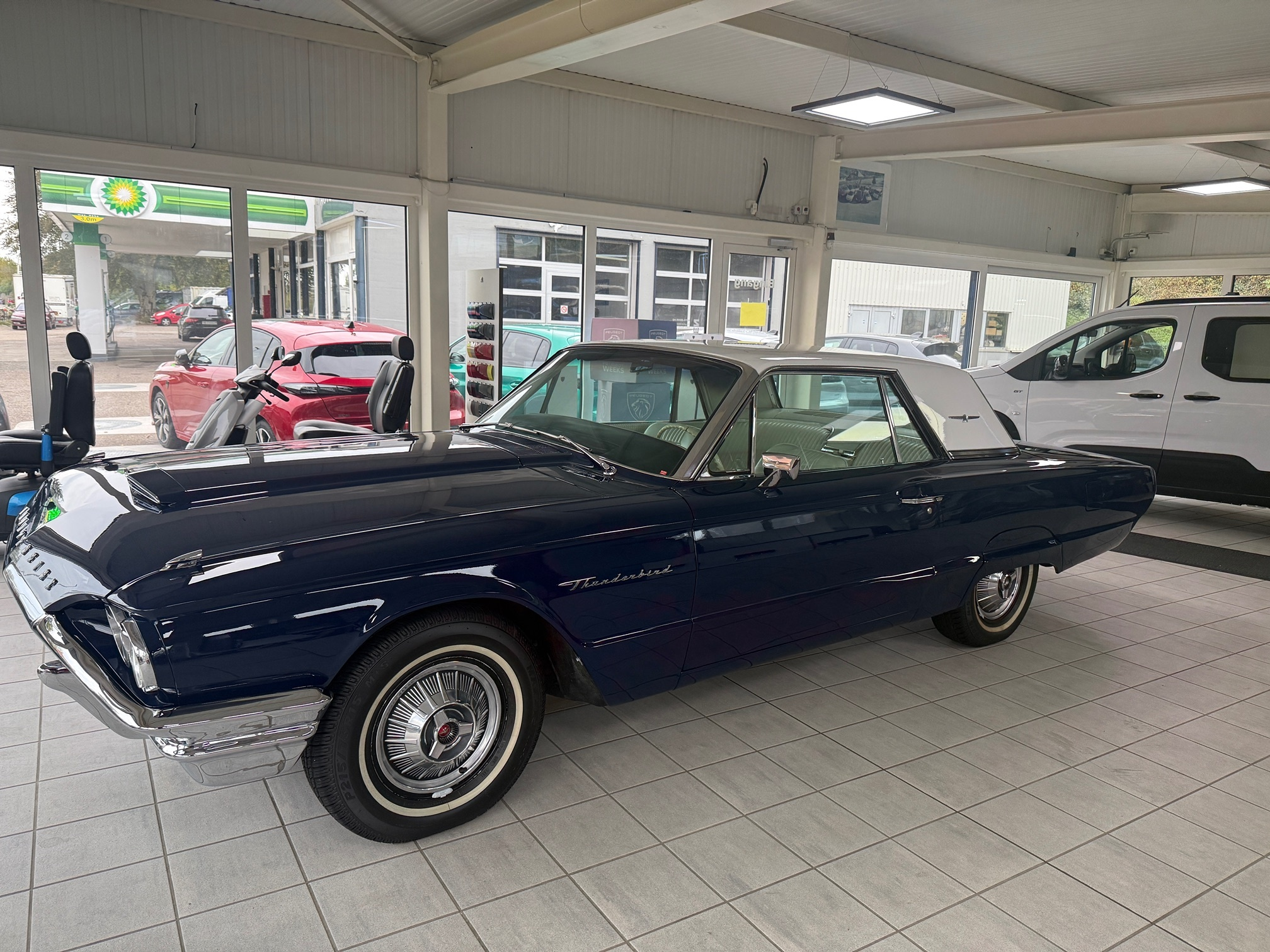 Auction Image
