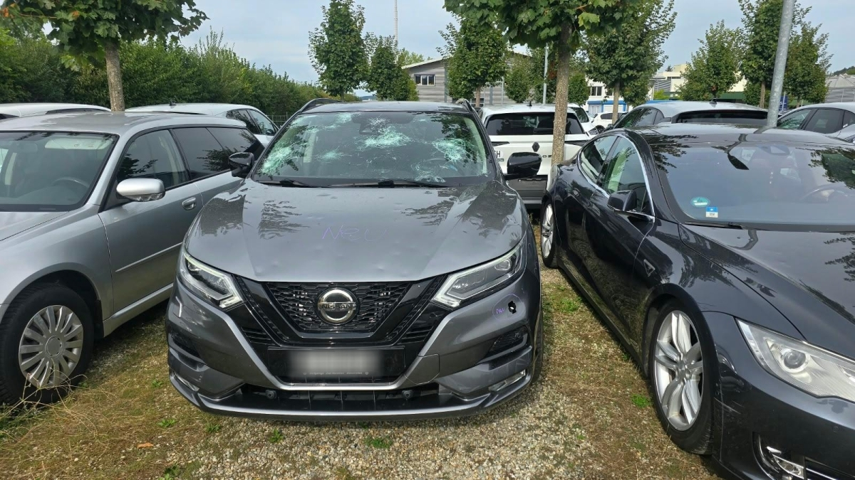 Auction Image