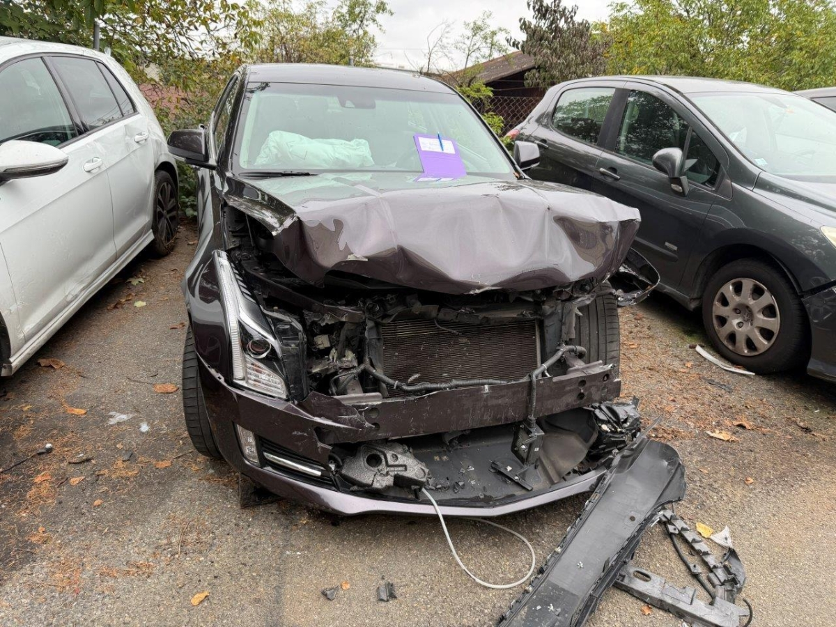 Auction Image