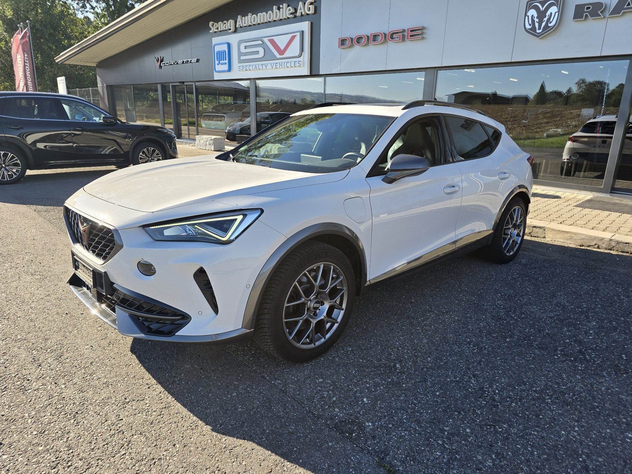Auction Image