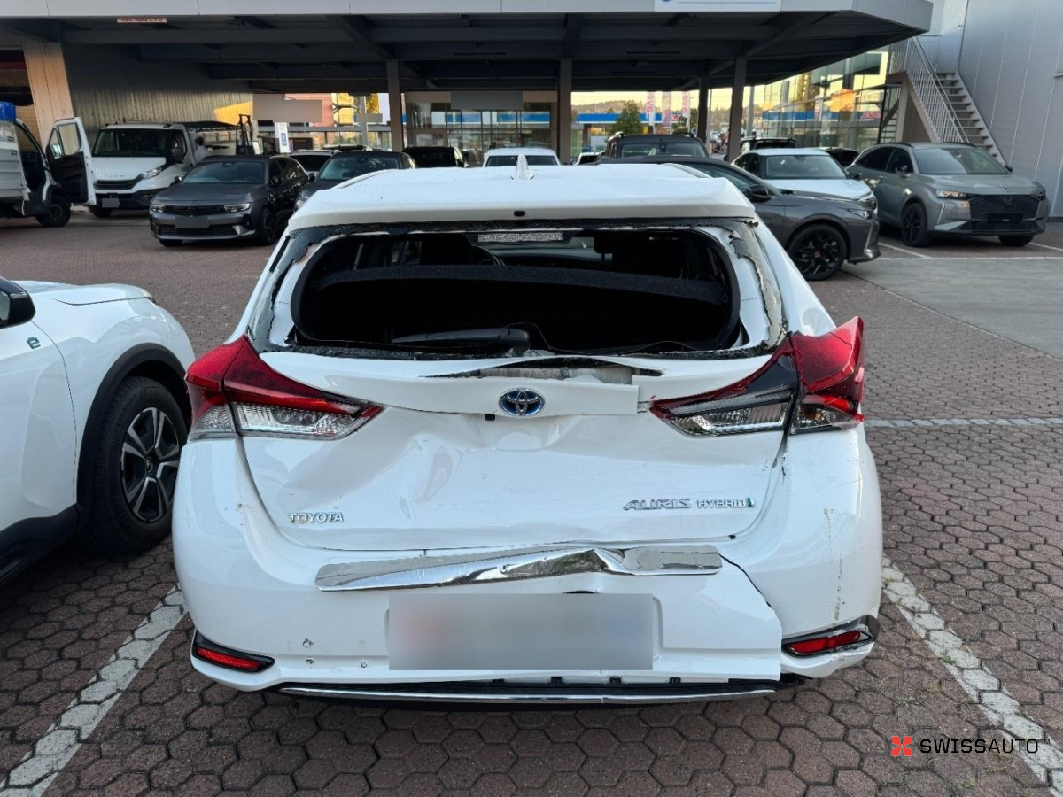 Auction Image