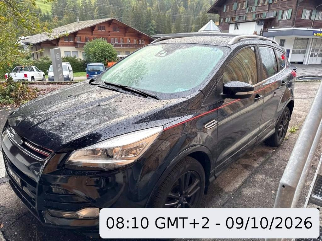 Auction Image