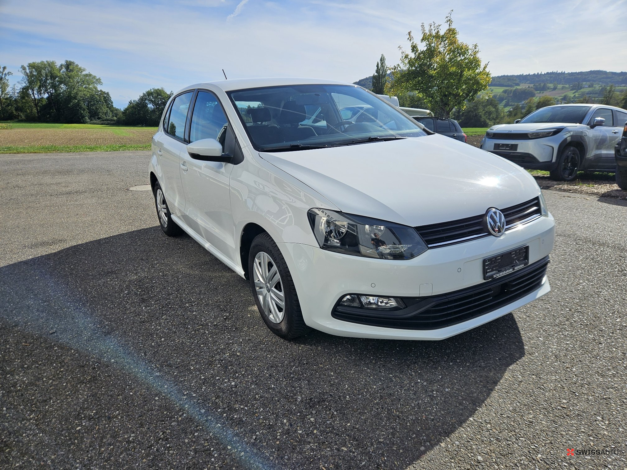 Auction Image