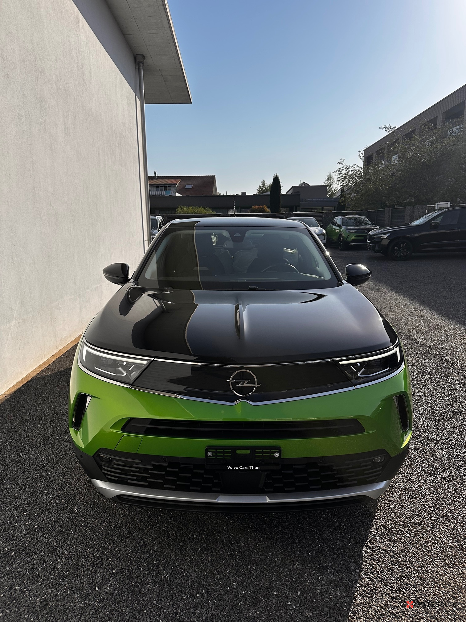 Auction Image