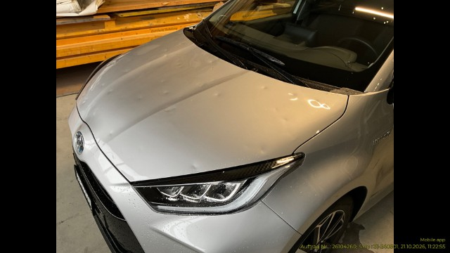 Auction Image