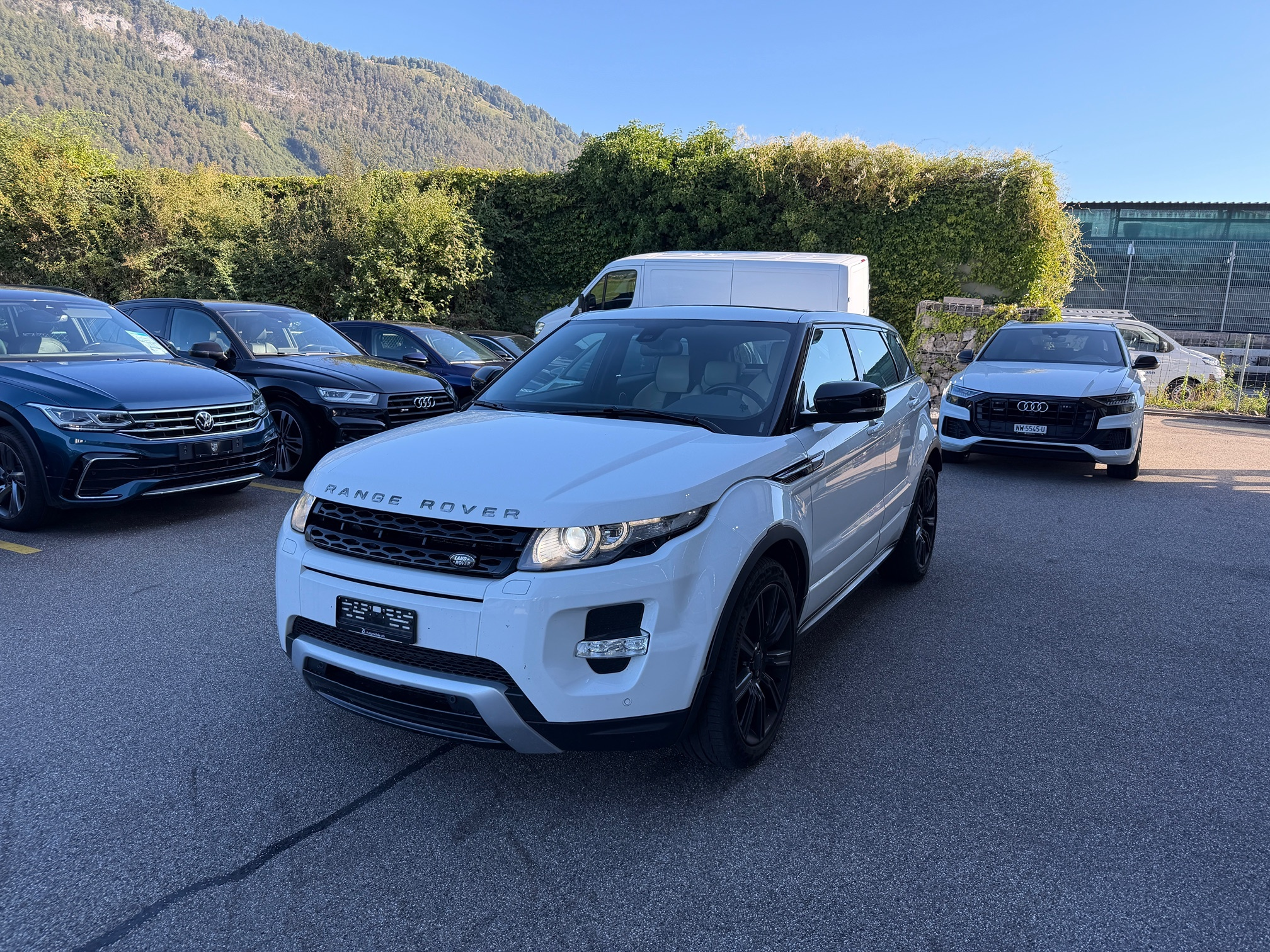 Auction Image