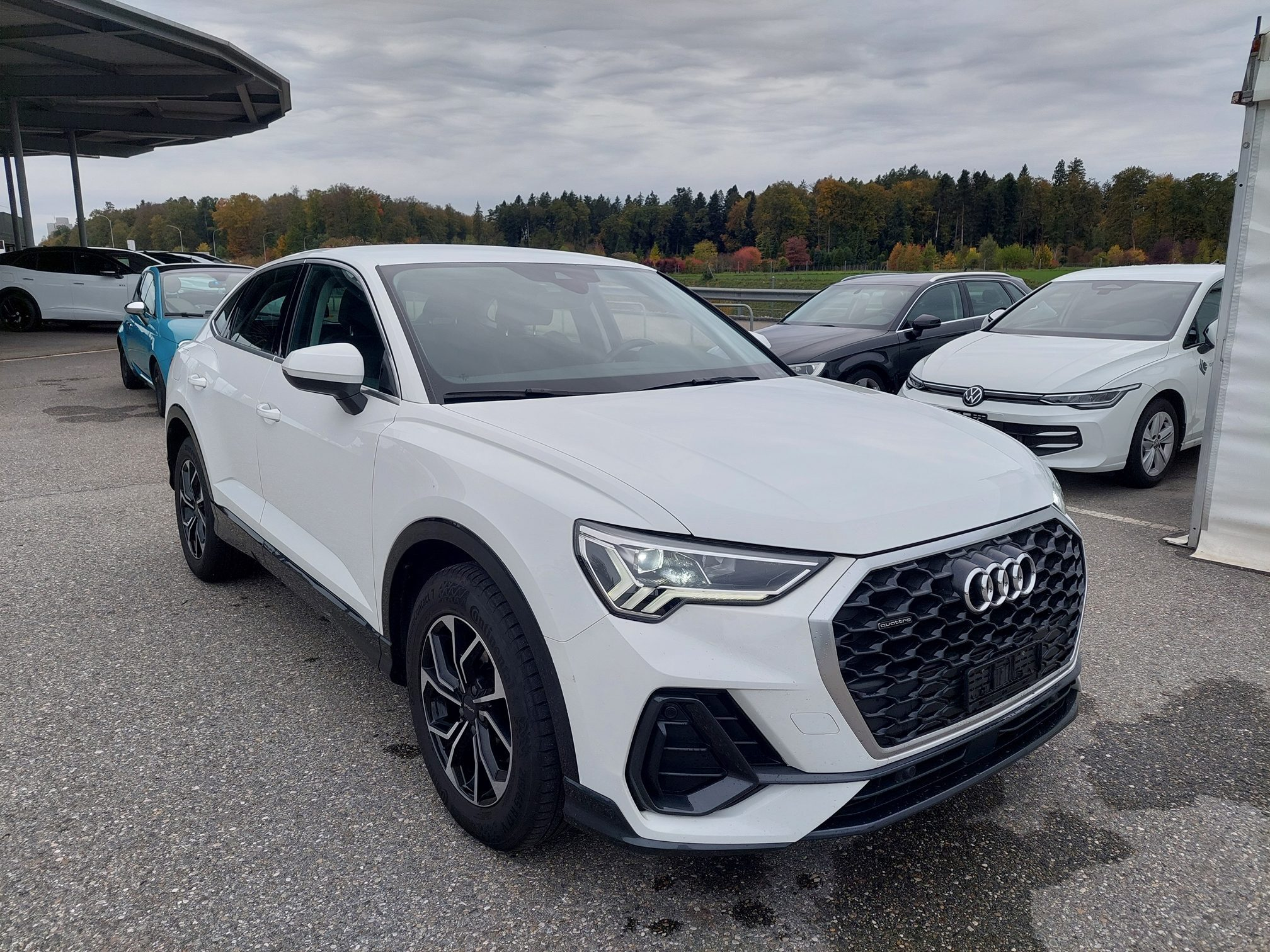 Auction Image