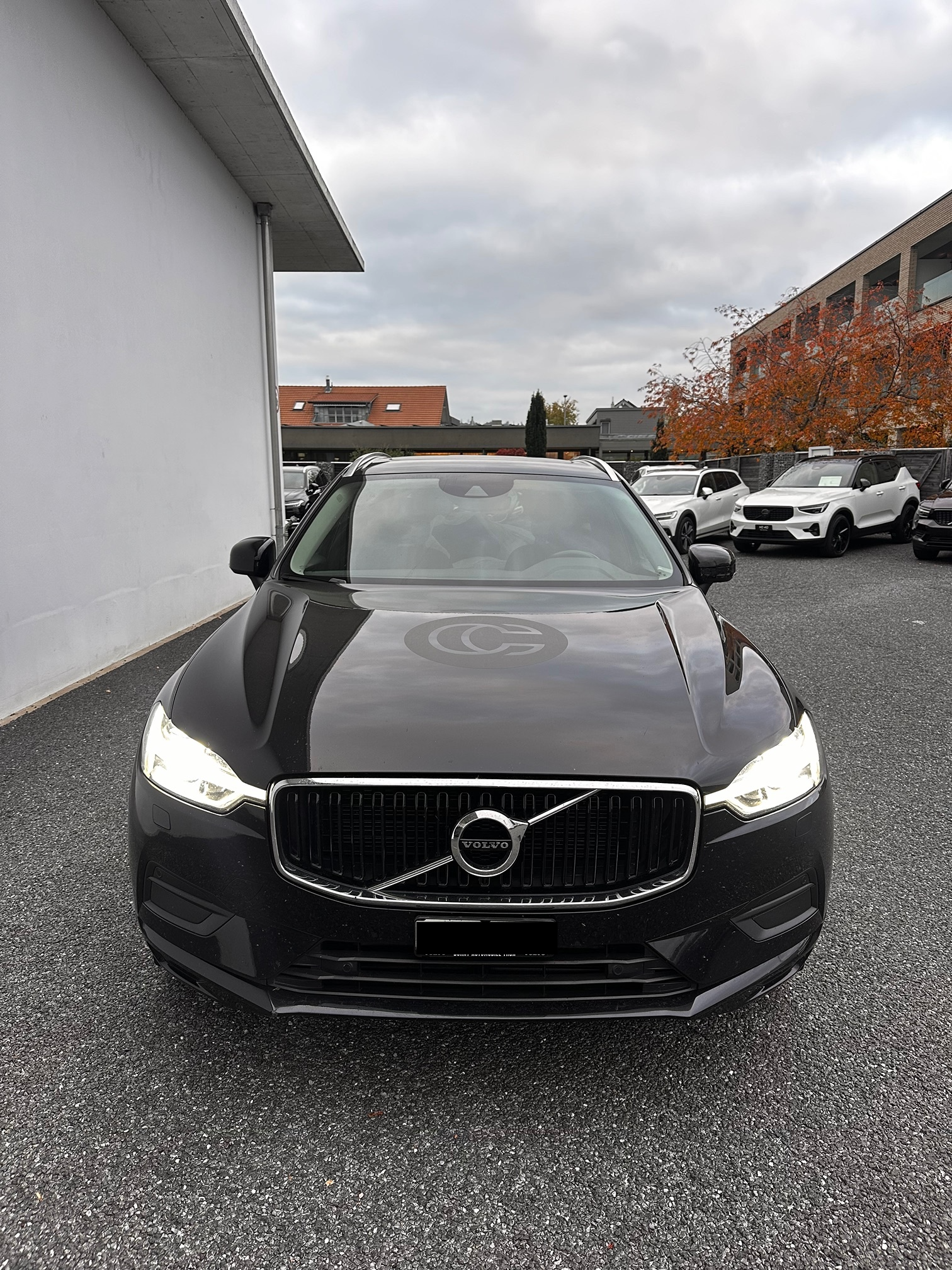 Auction Image