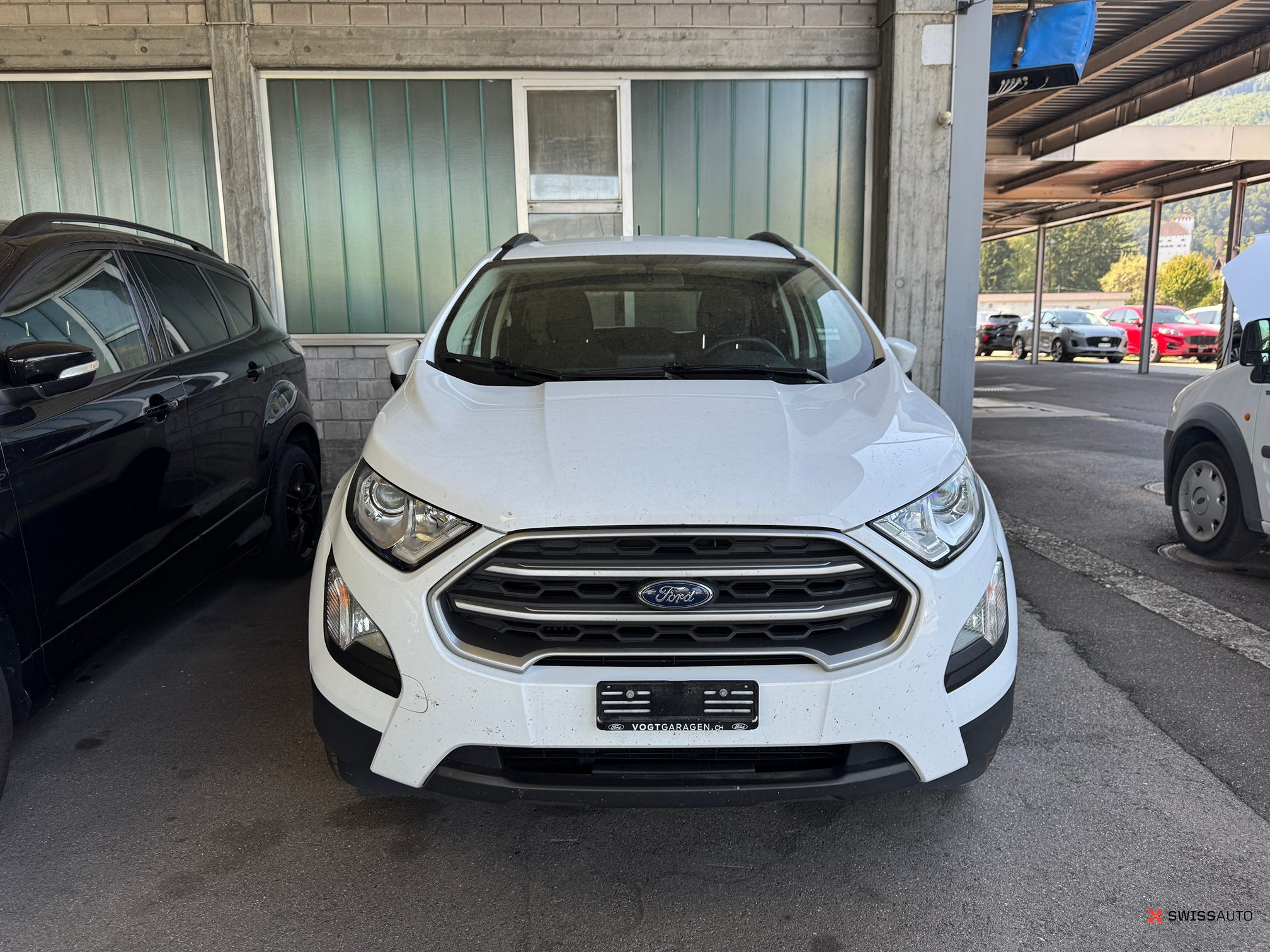 Auction Image