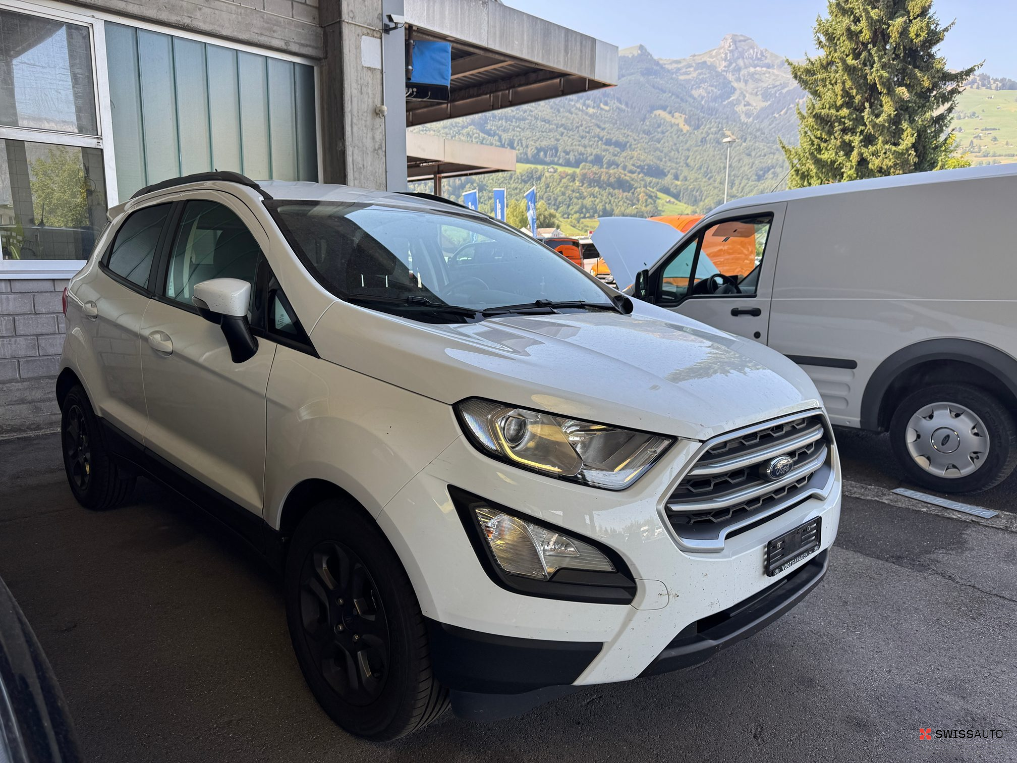 Auction Image