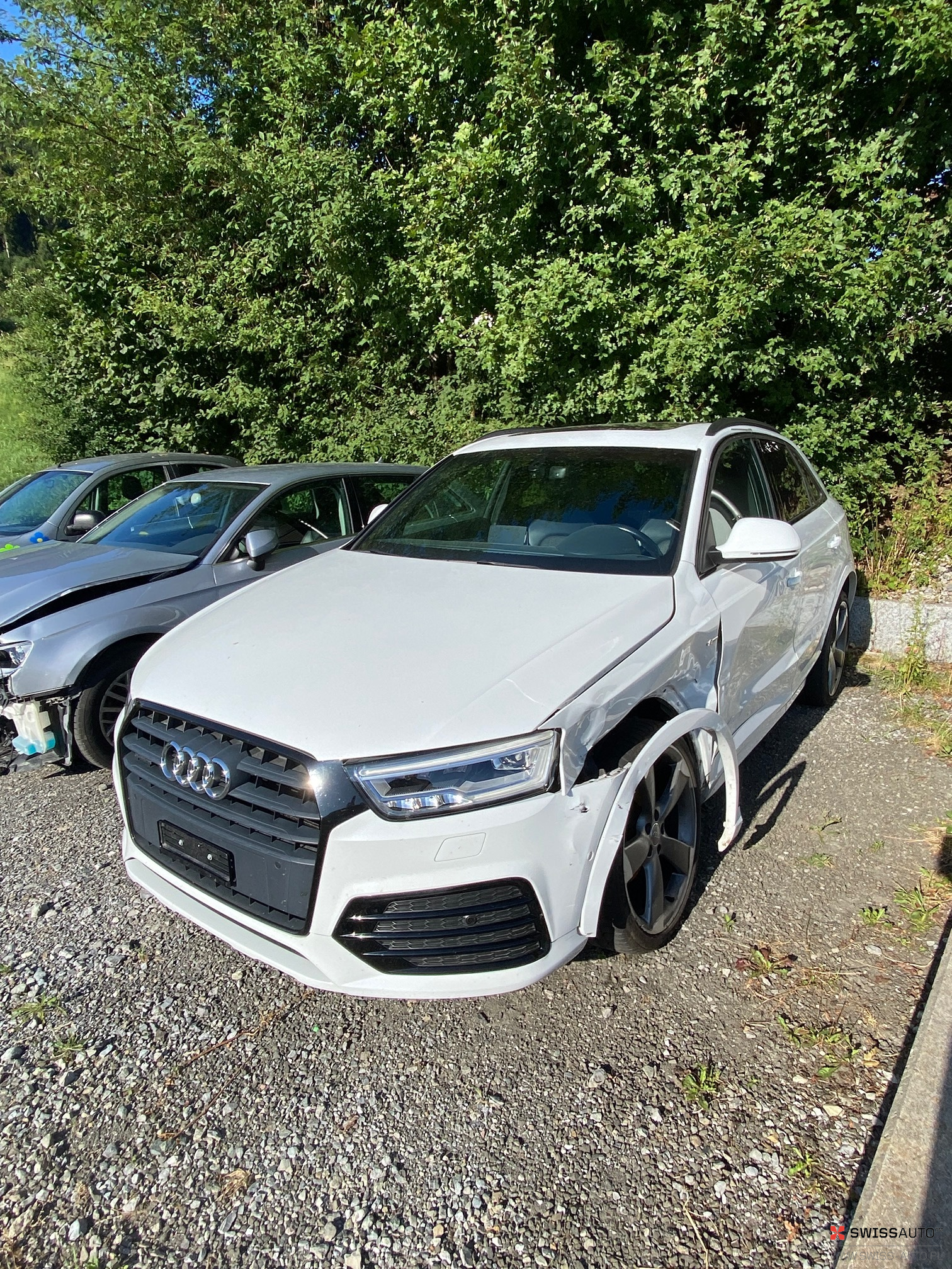 Auction Image