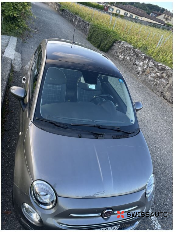 Auction Image