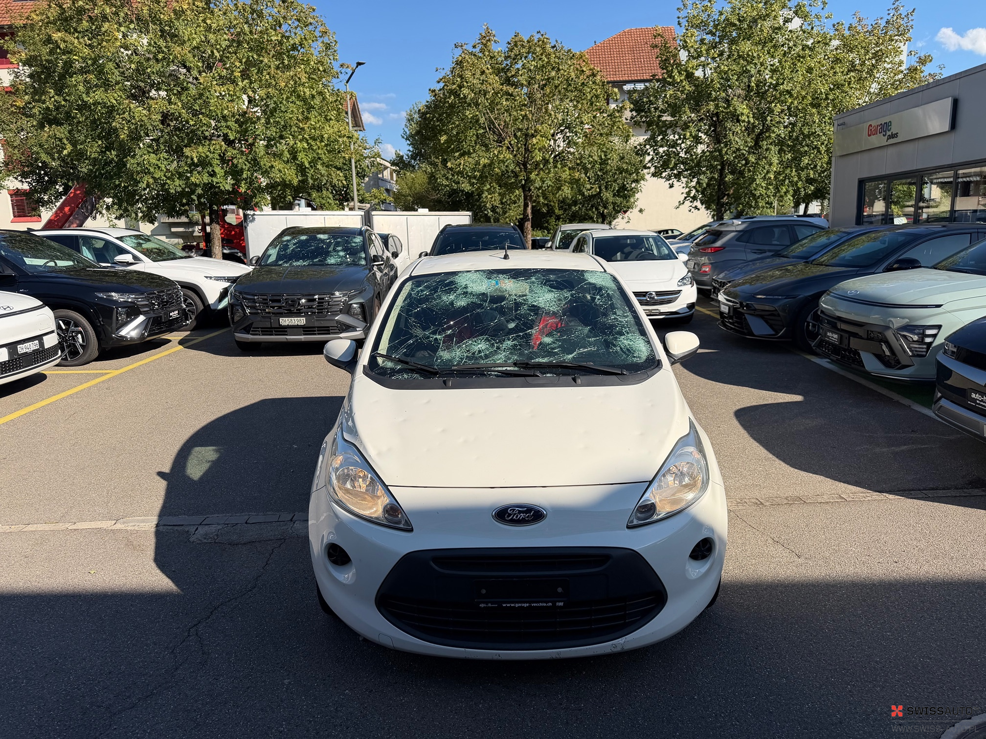 Auction Image