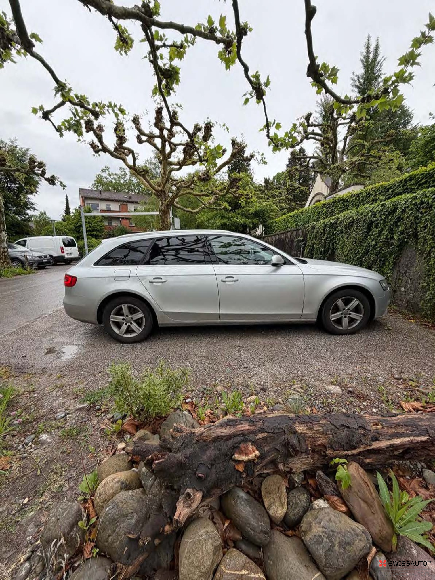 Auction Image
