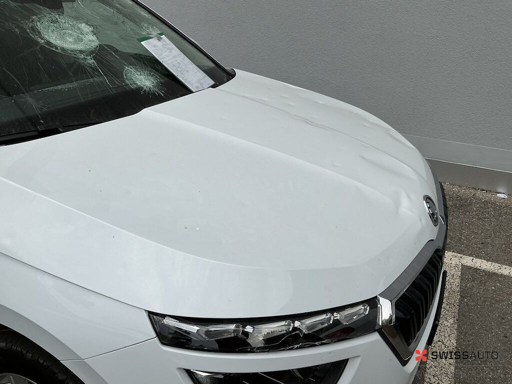 Auction Image