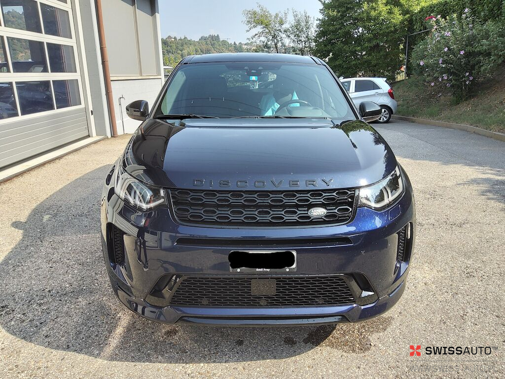 Auction Image