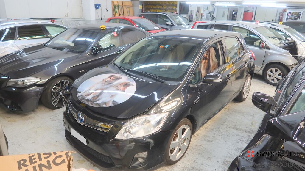 Auction Image