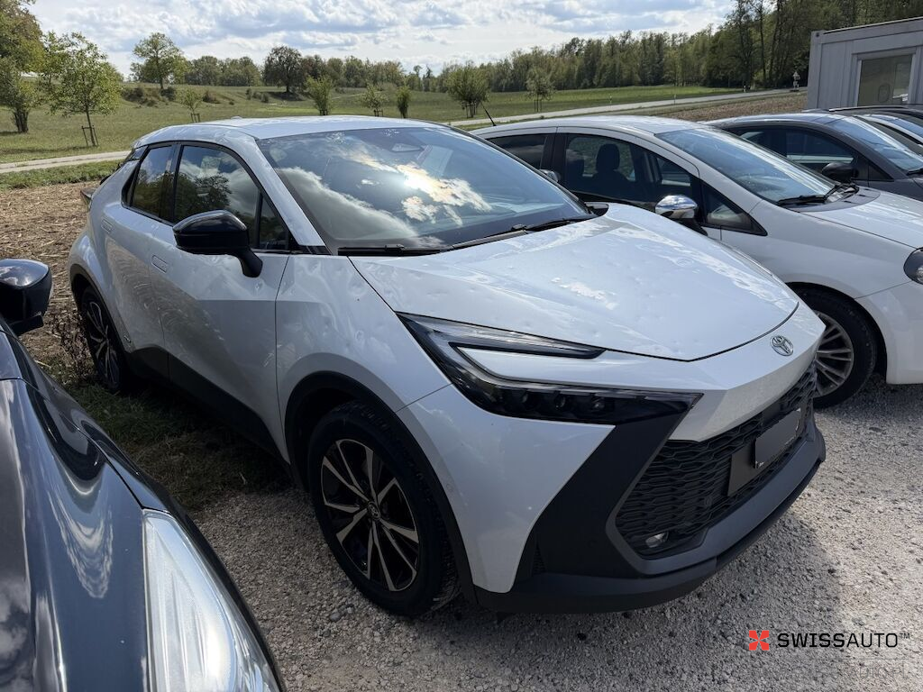 Auction Image