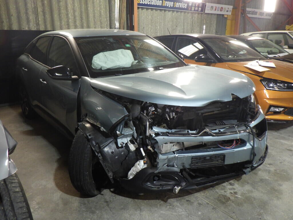 Auction Image