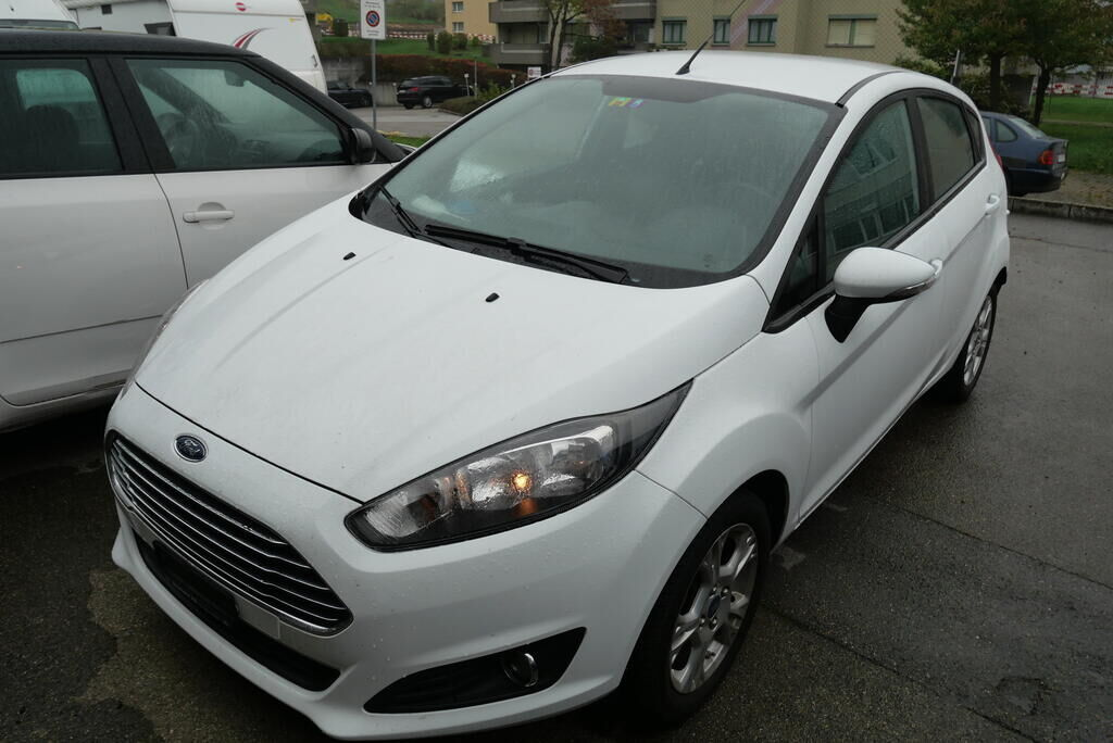Auction Image