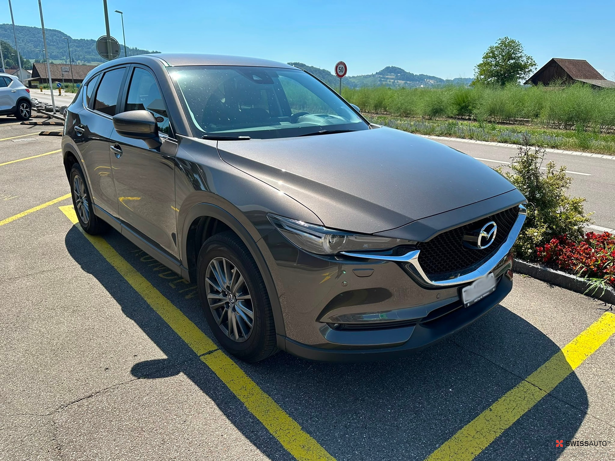 Auction Image