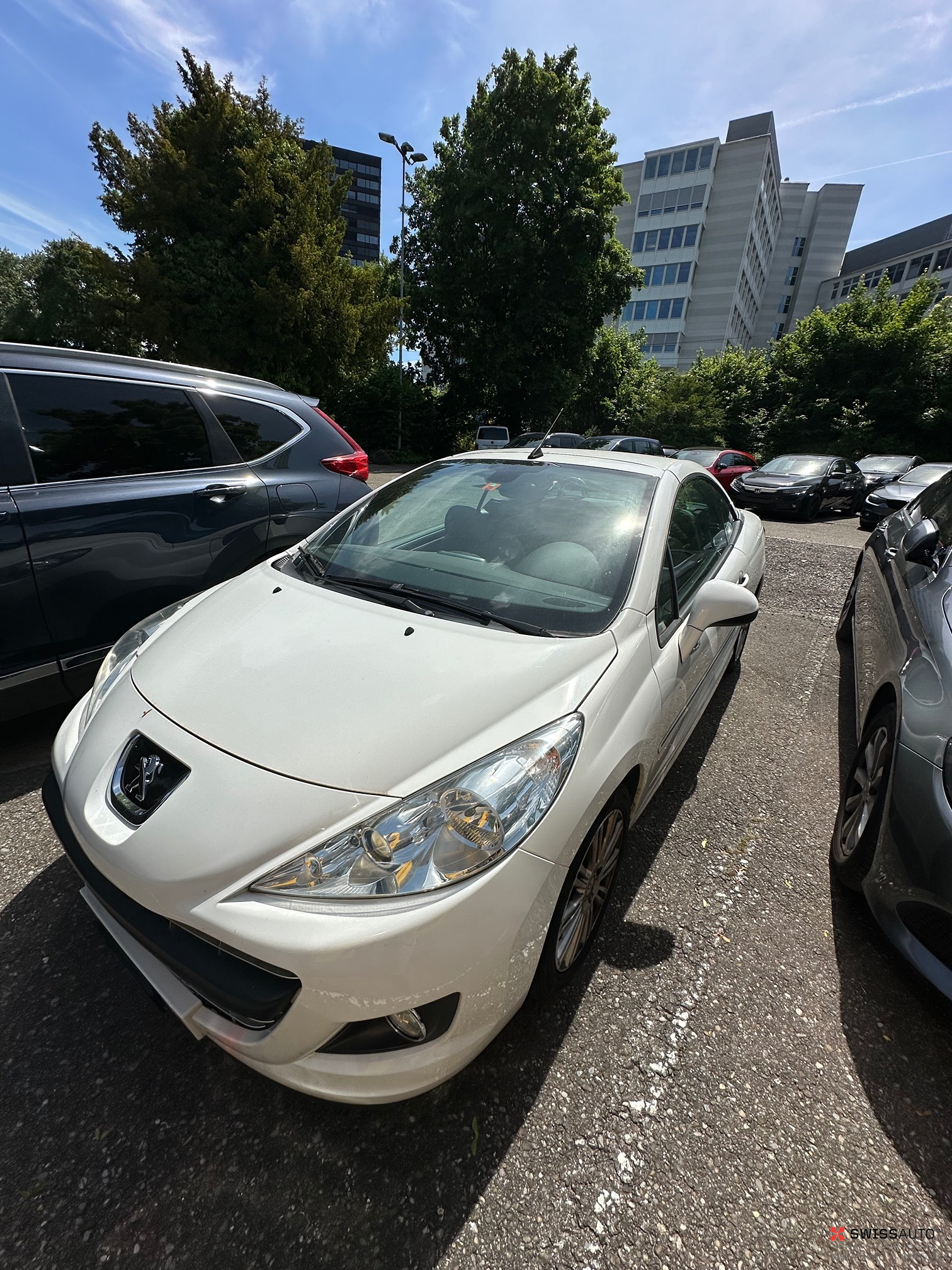 Auction Image