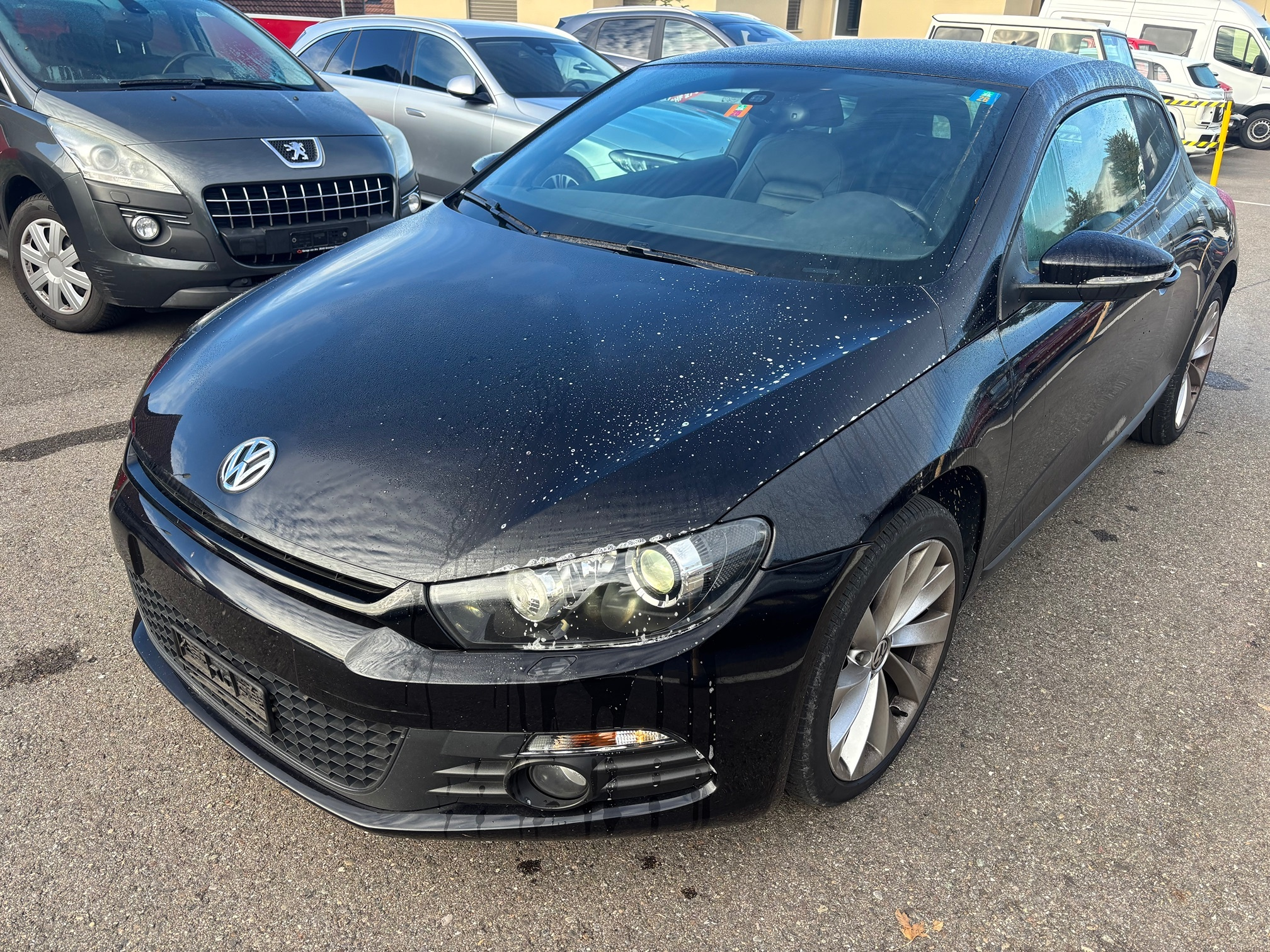 Auction Image