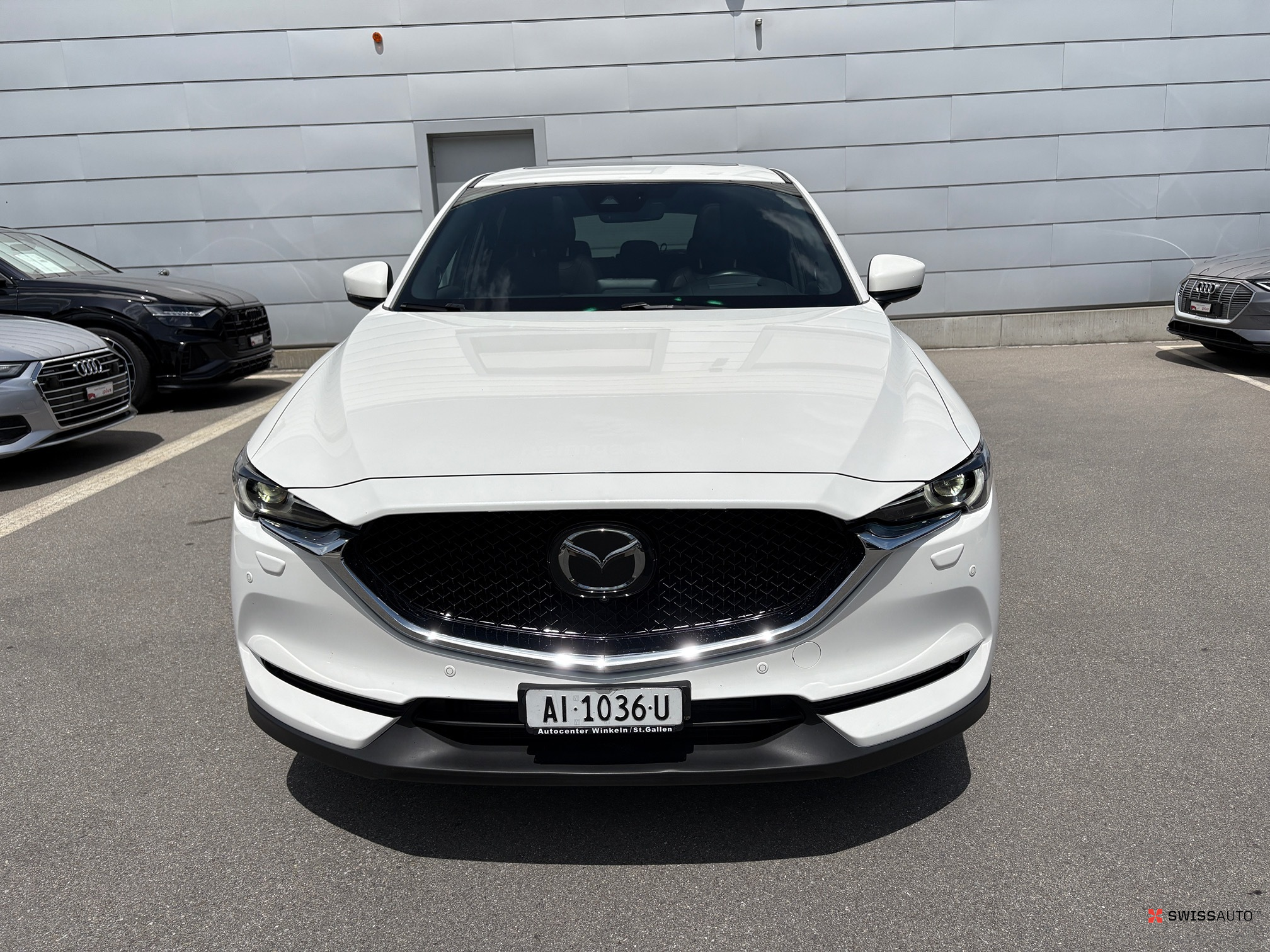 Auction Image