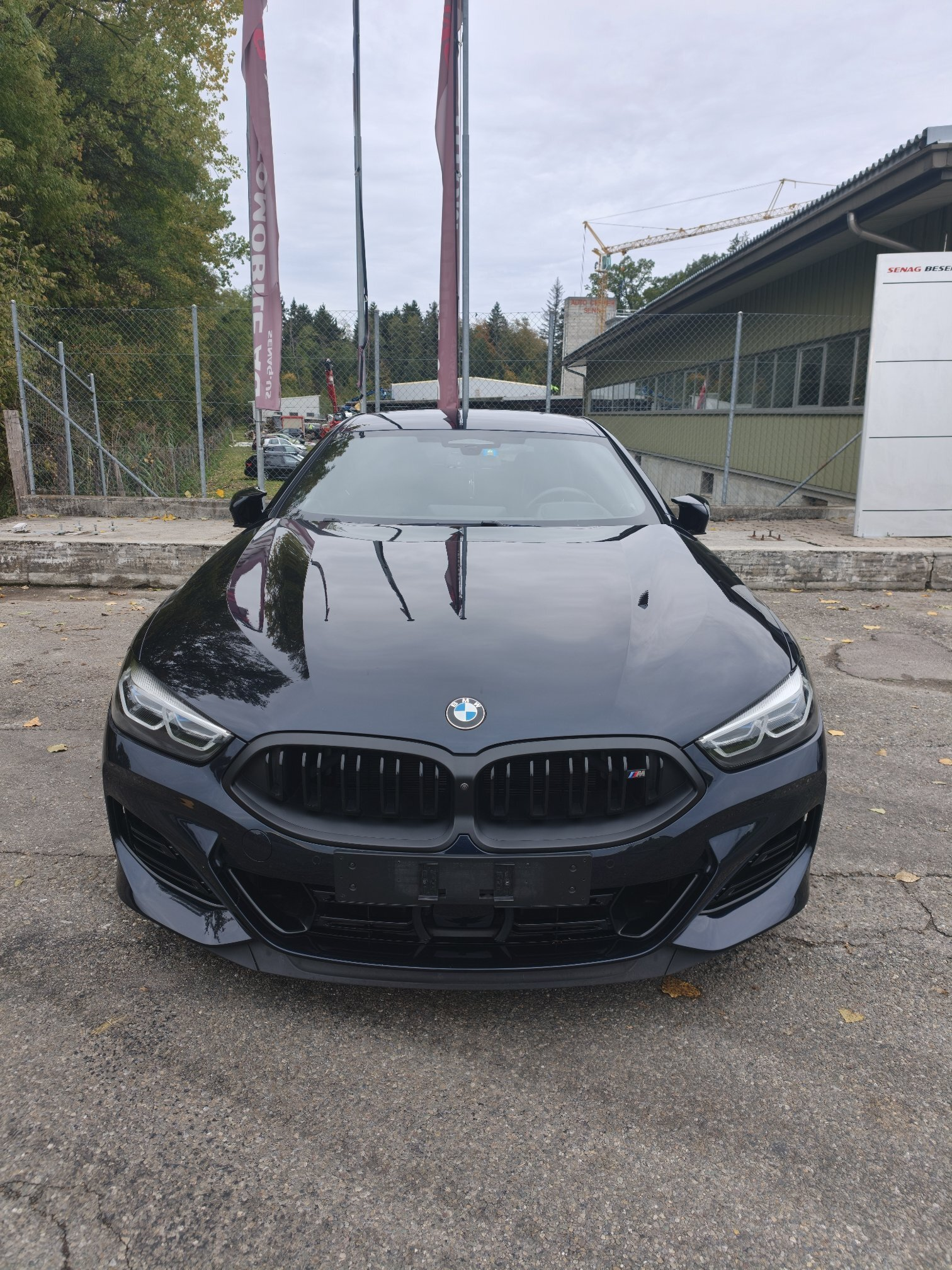 Auction Image