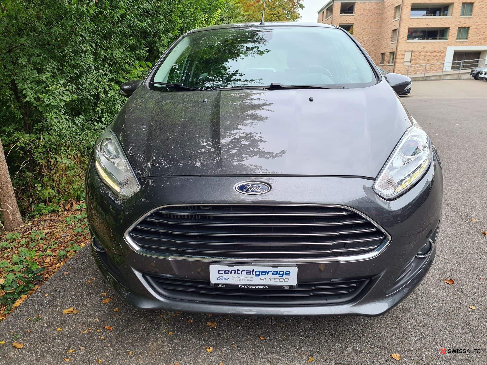 Auction Image