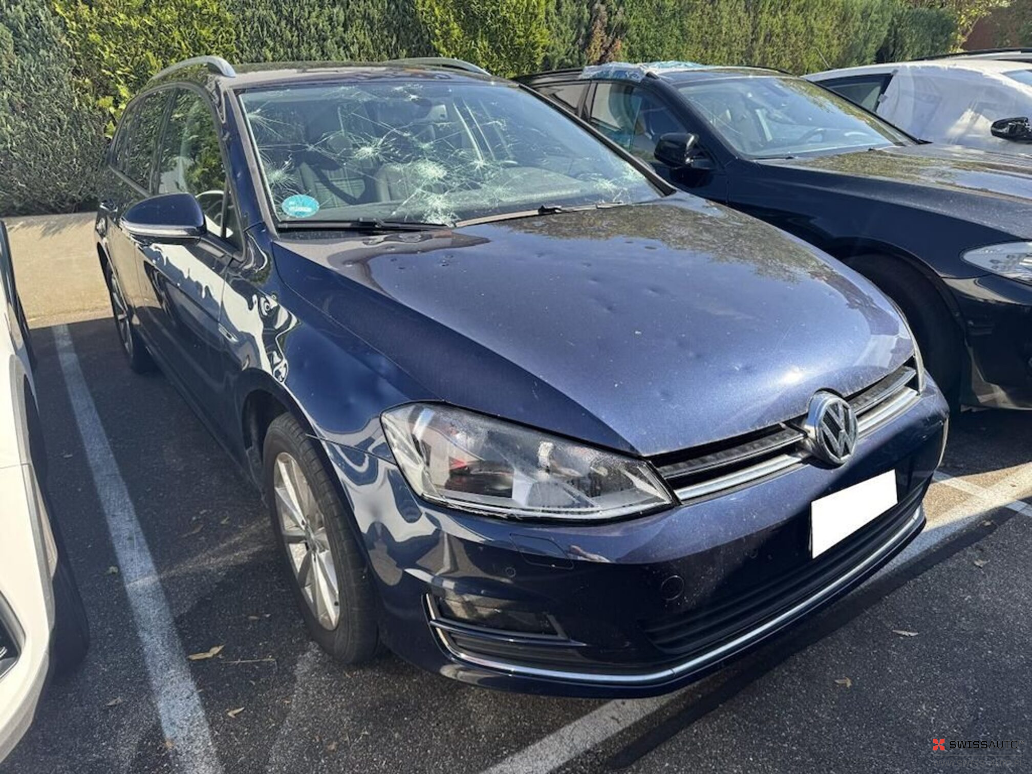 Auction Image