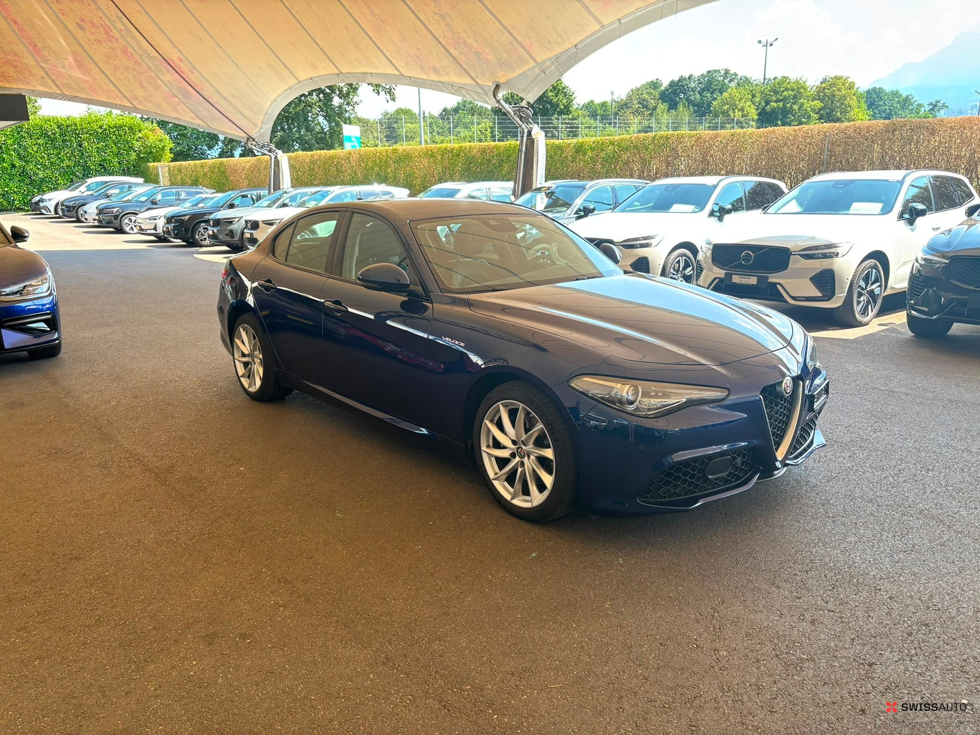Auction Image