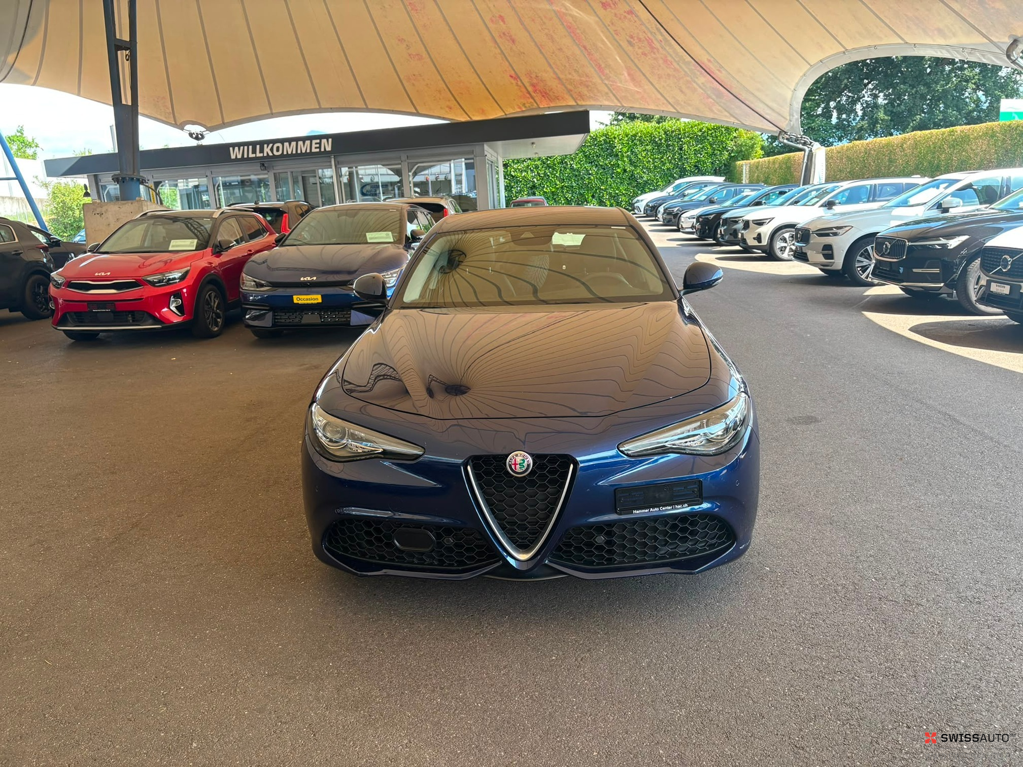 Auction Image