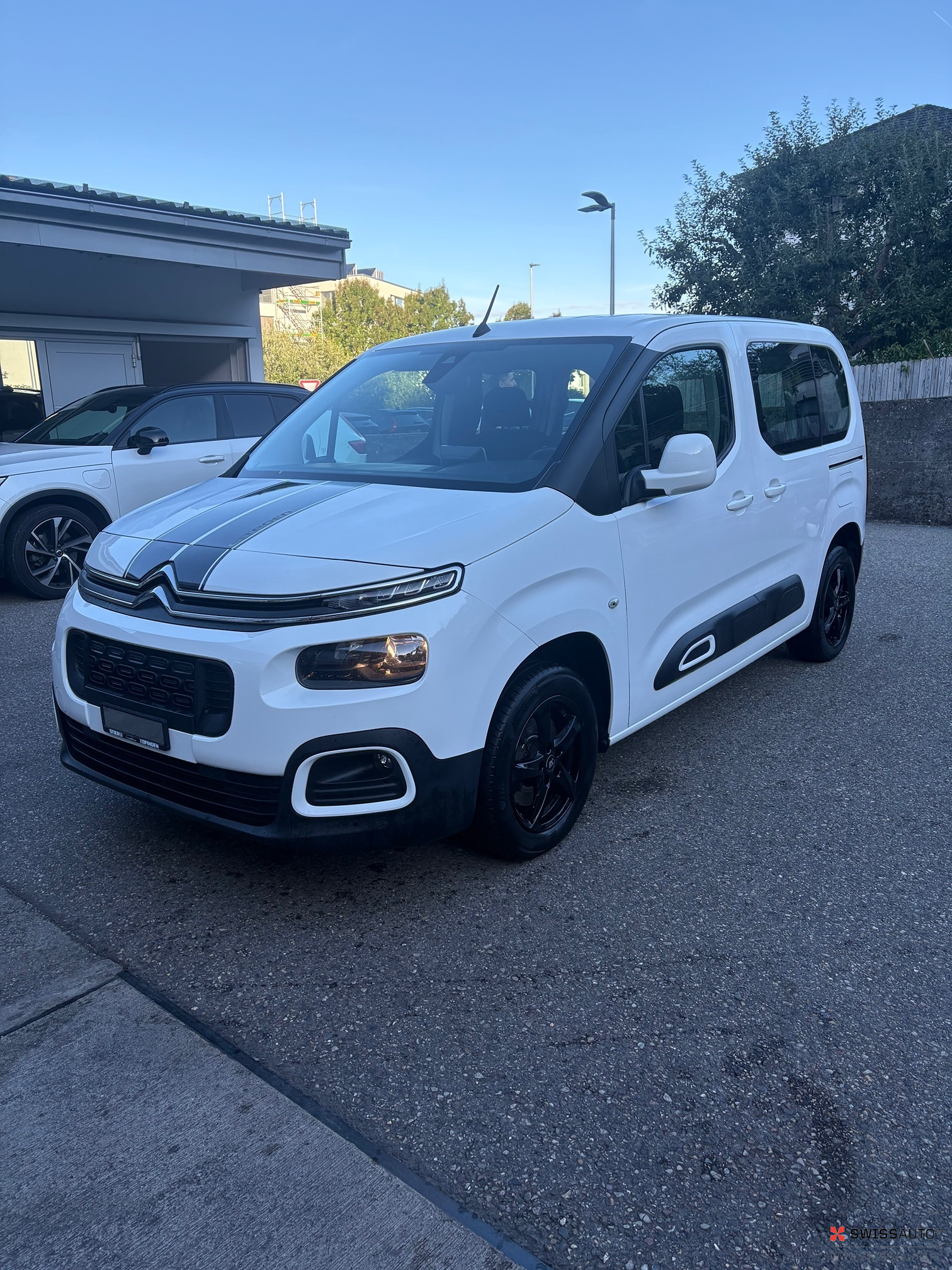 Auction Image