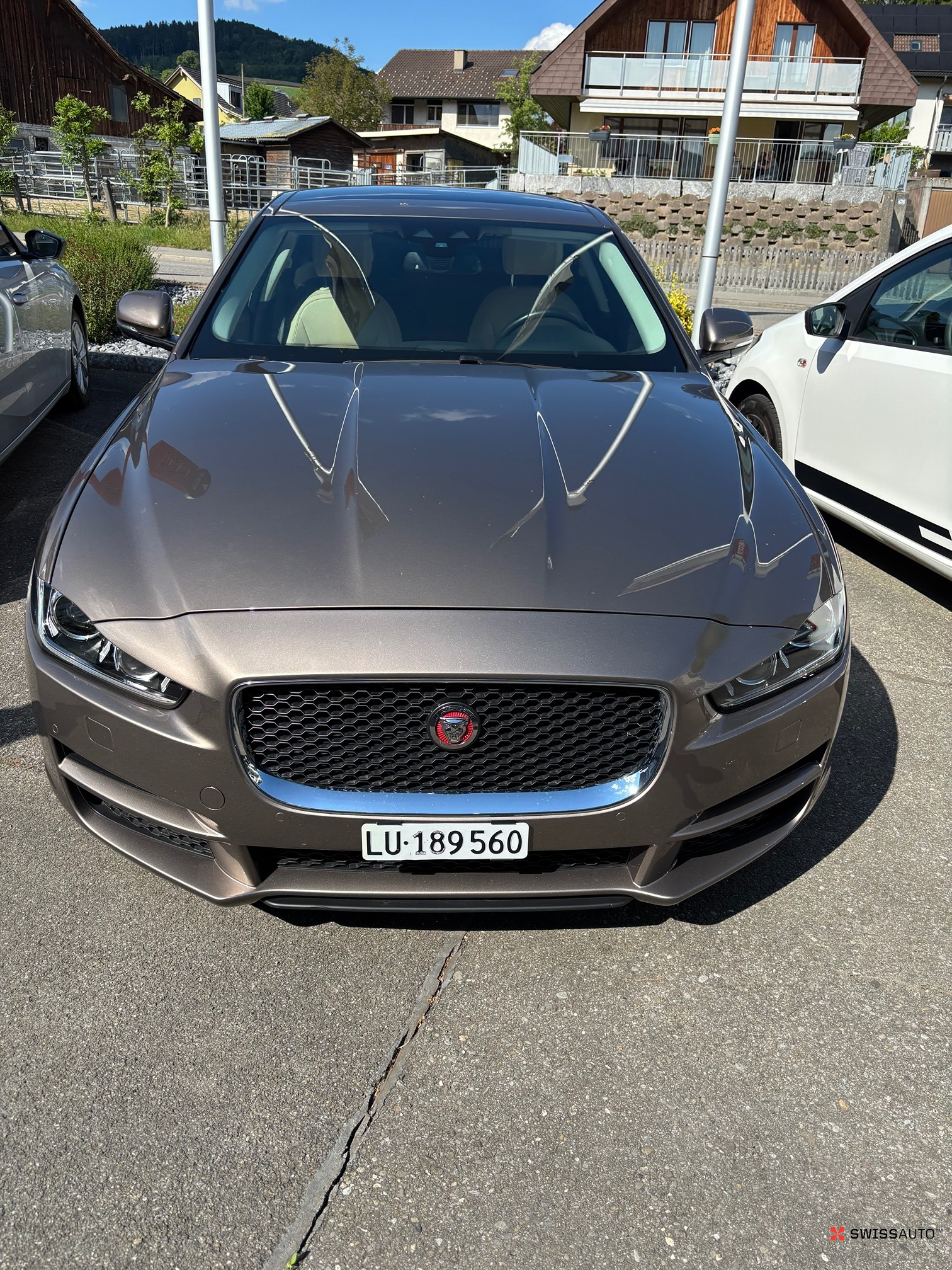 Auction Image