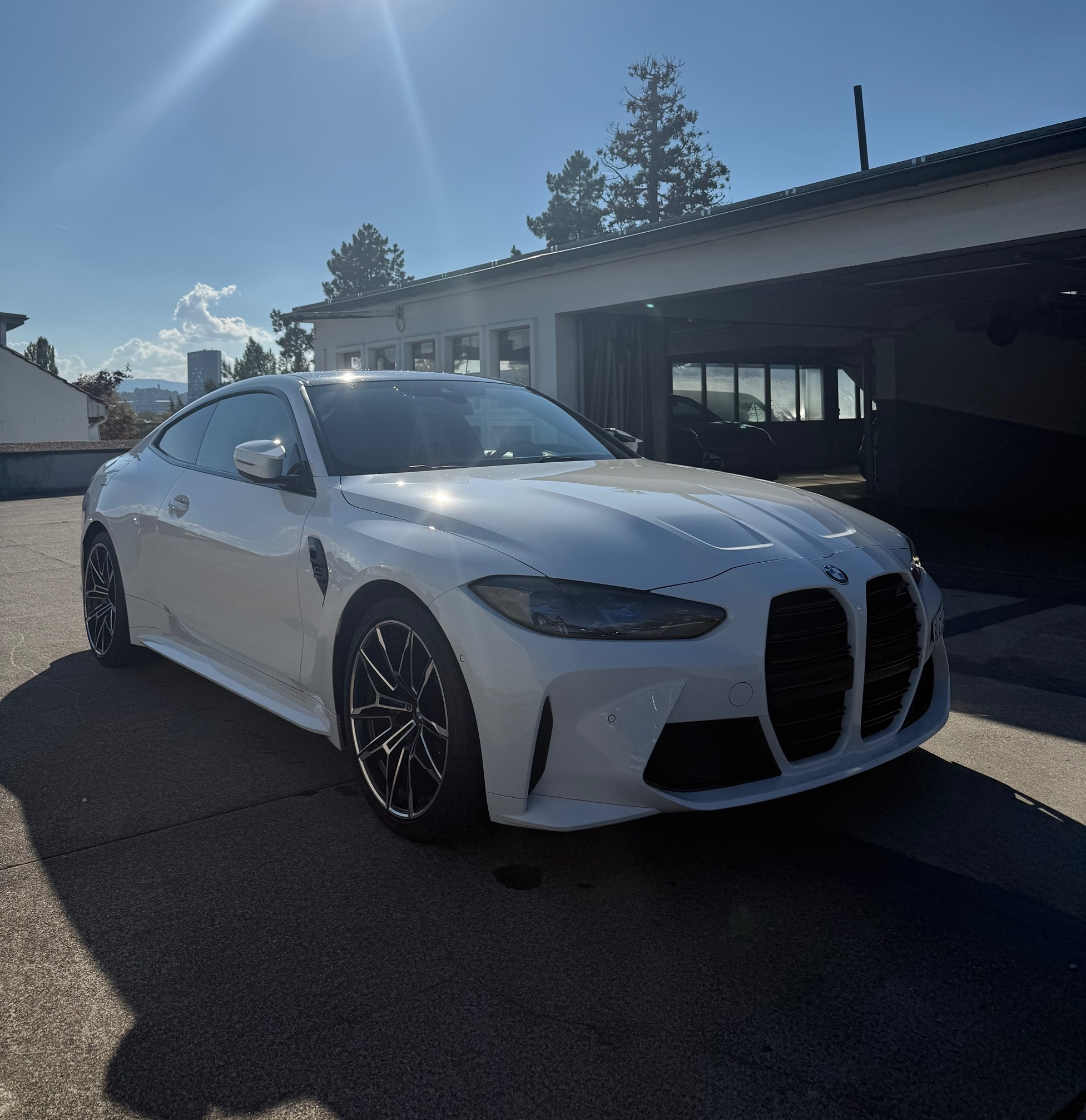 Auction Image