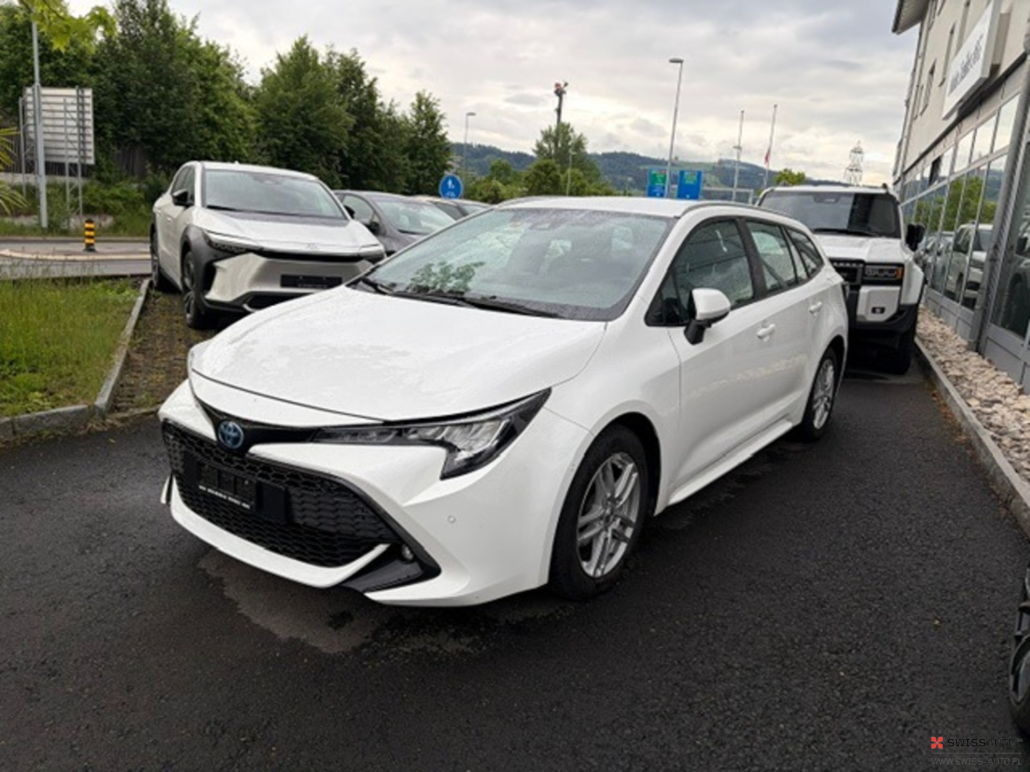 Auction Image