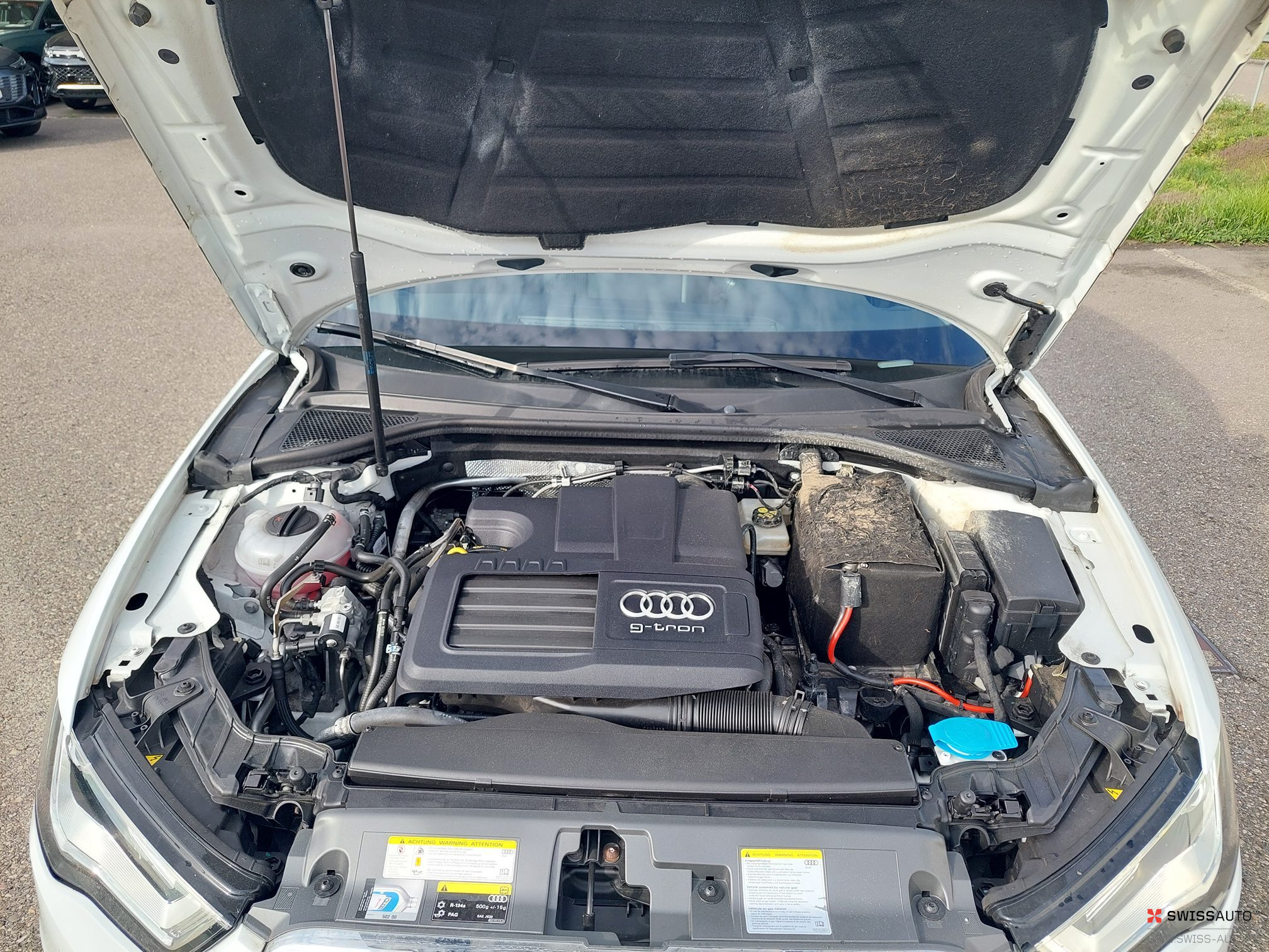 Auction Image