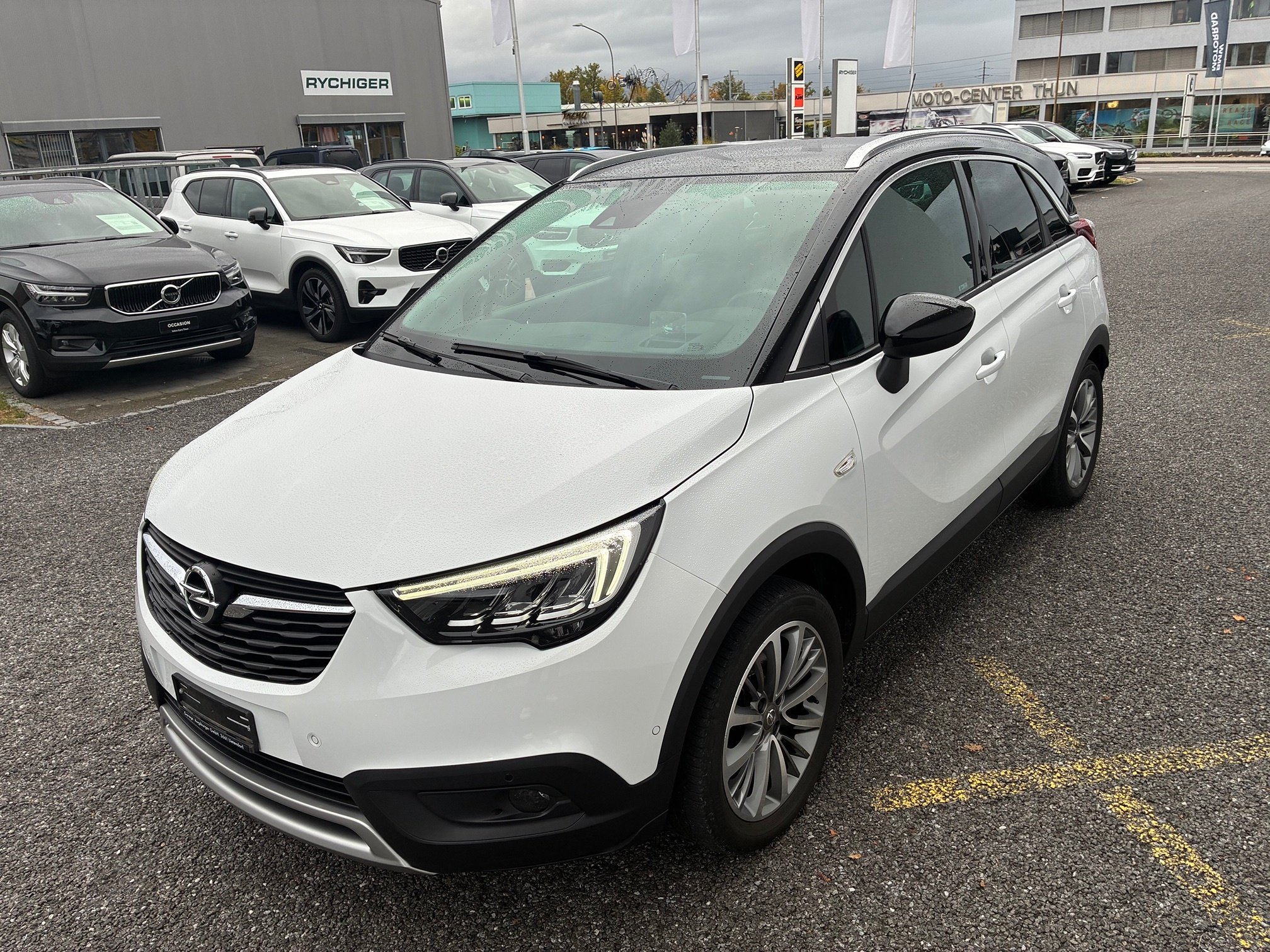 Auction Image