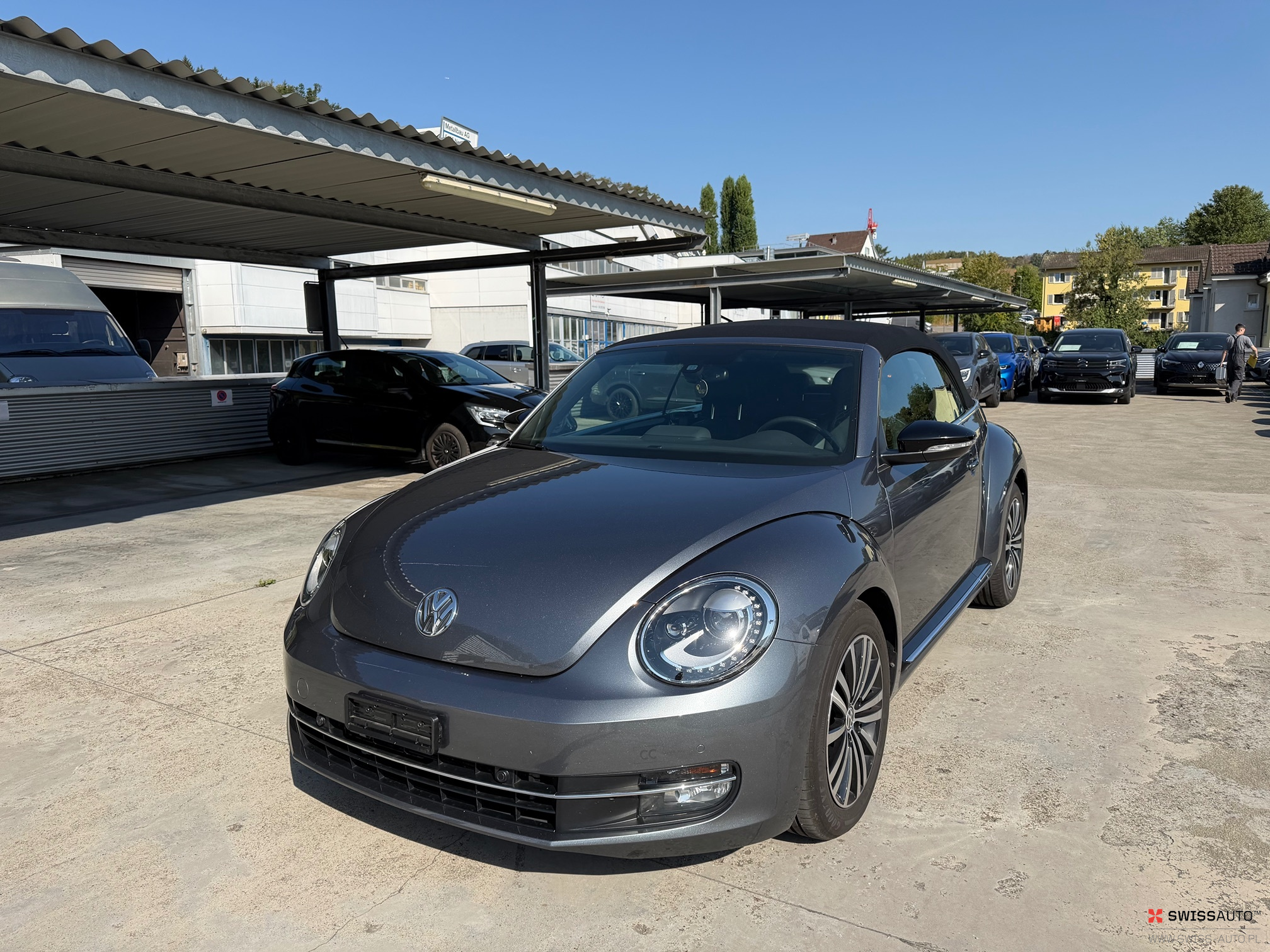 Auction Image