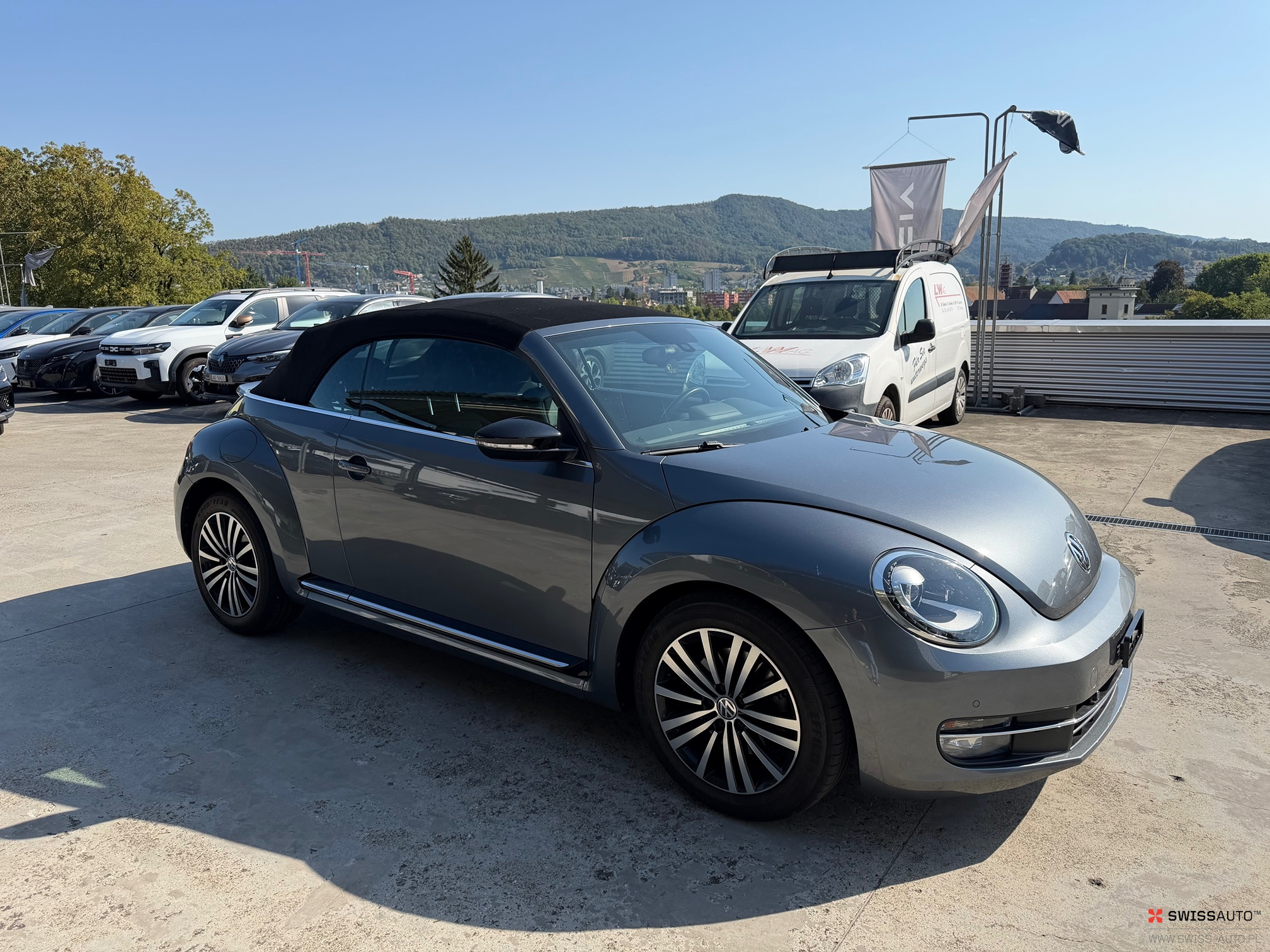 Auction Image