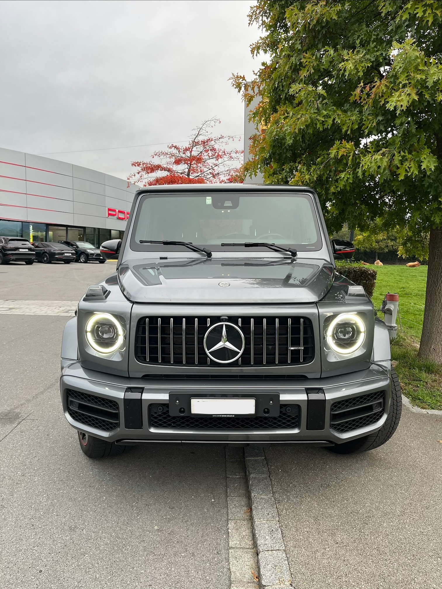 Auction Image