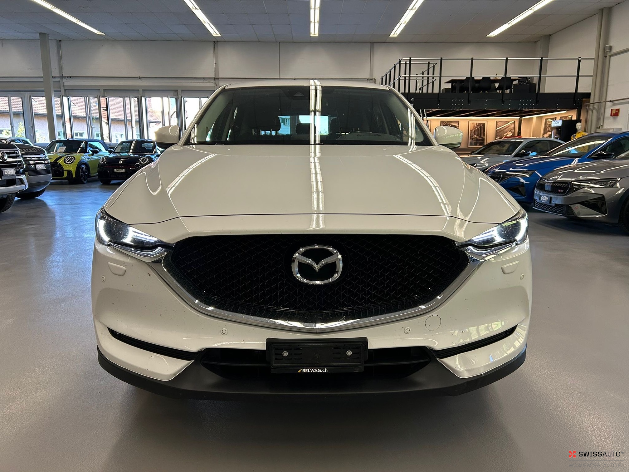 Auction Image