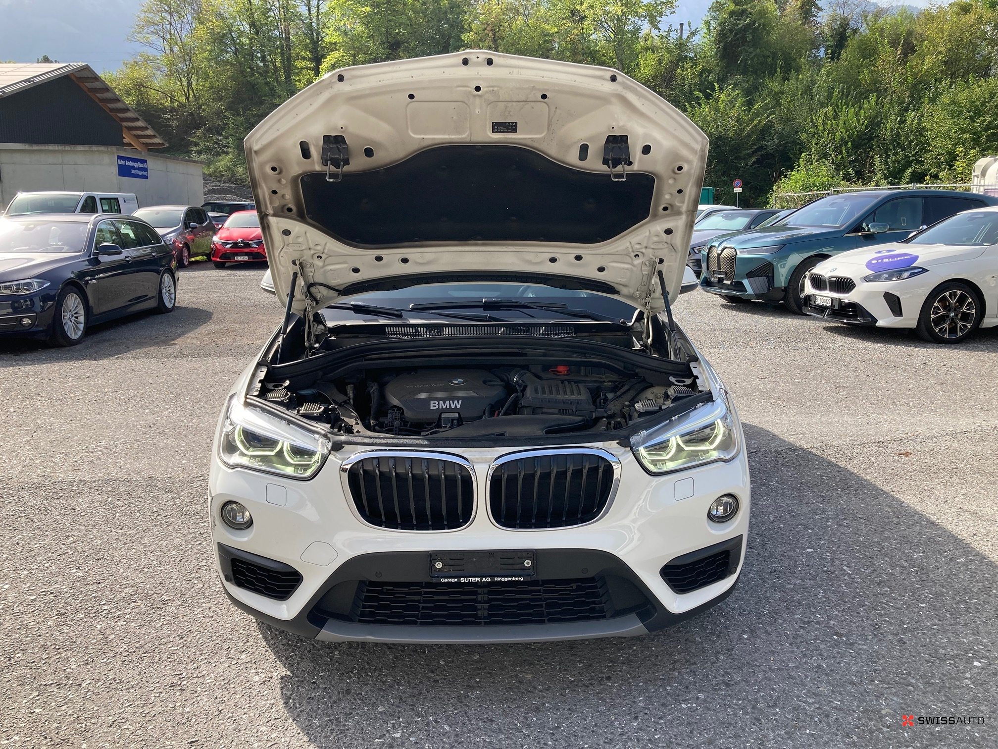 Auction Image