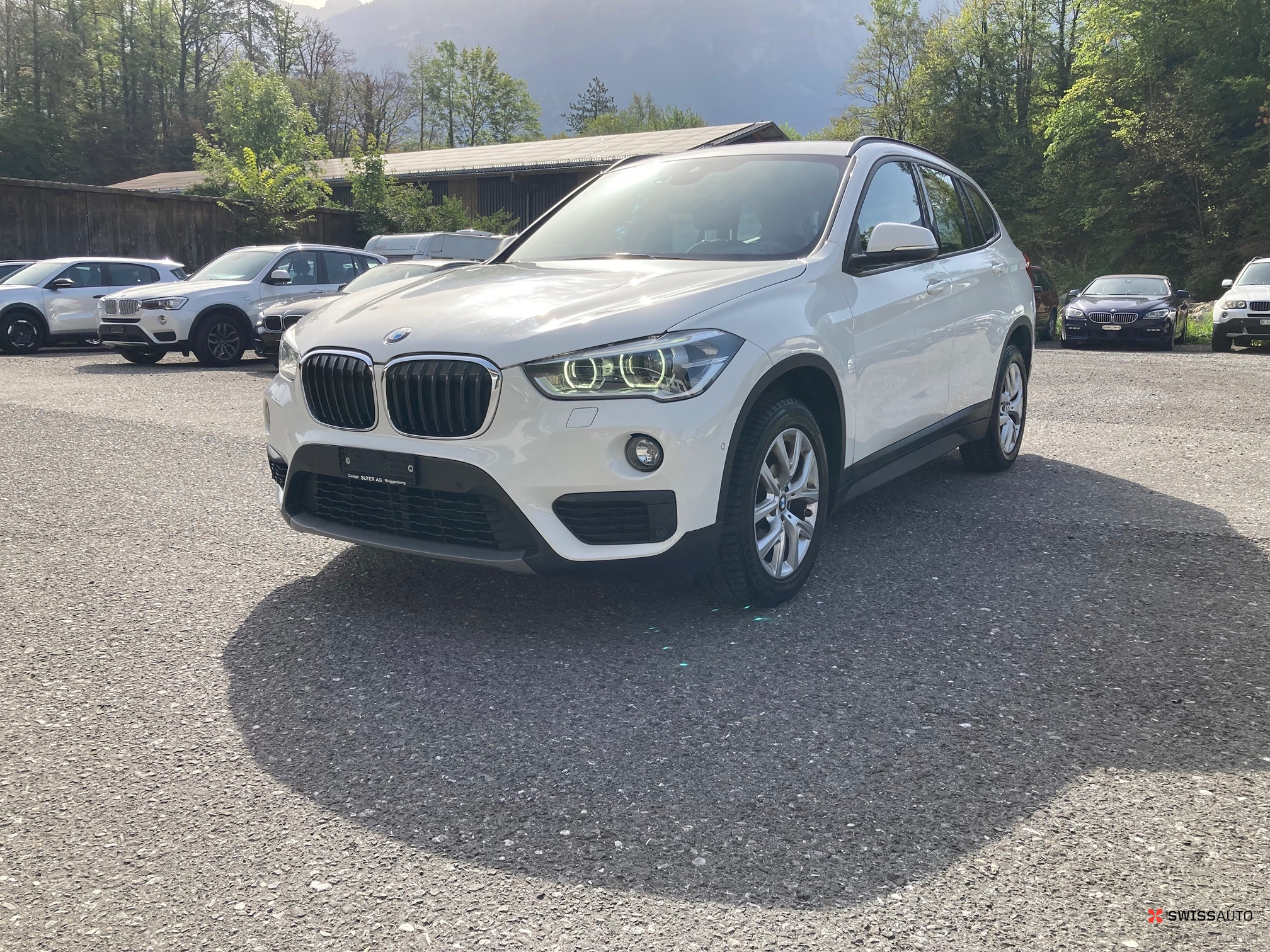 Auction Image