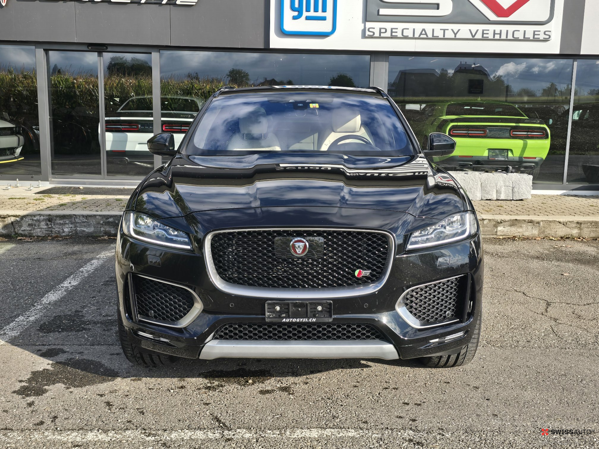 Auction Image
