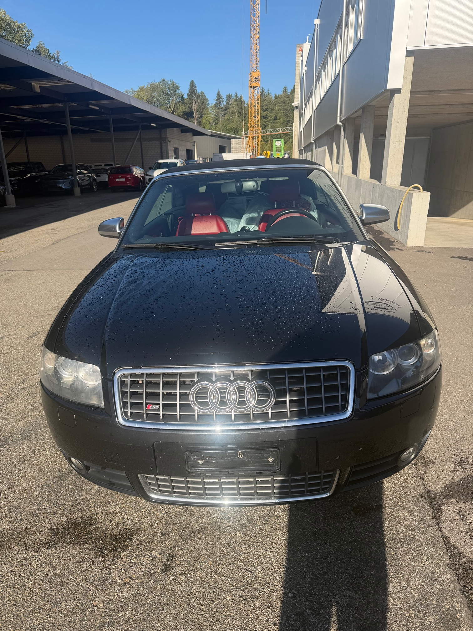 Auction Image