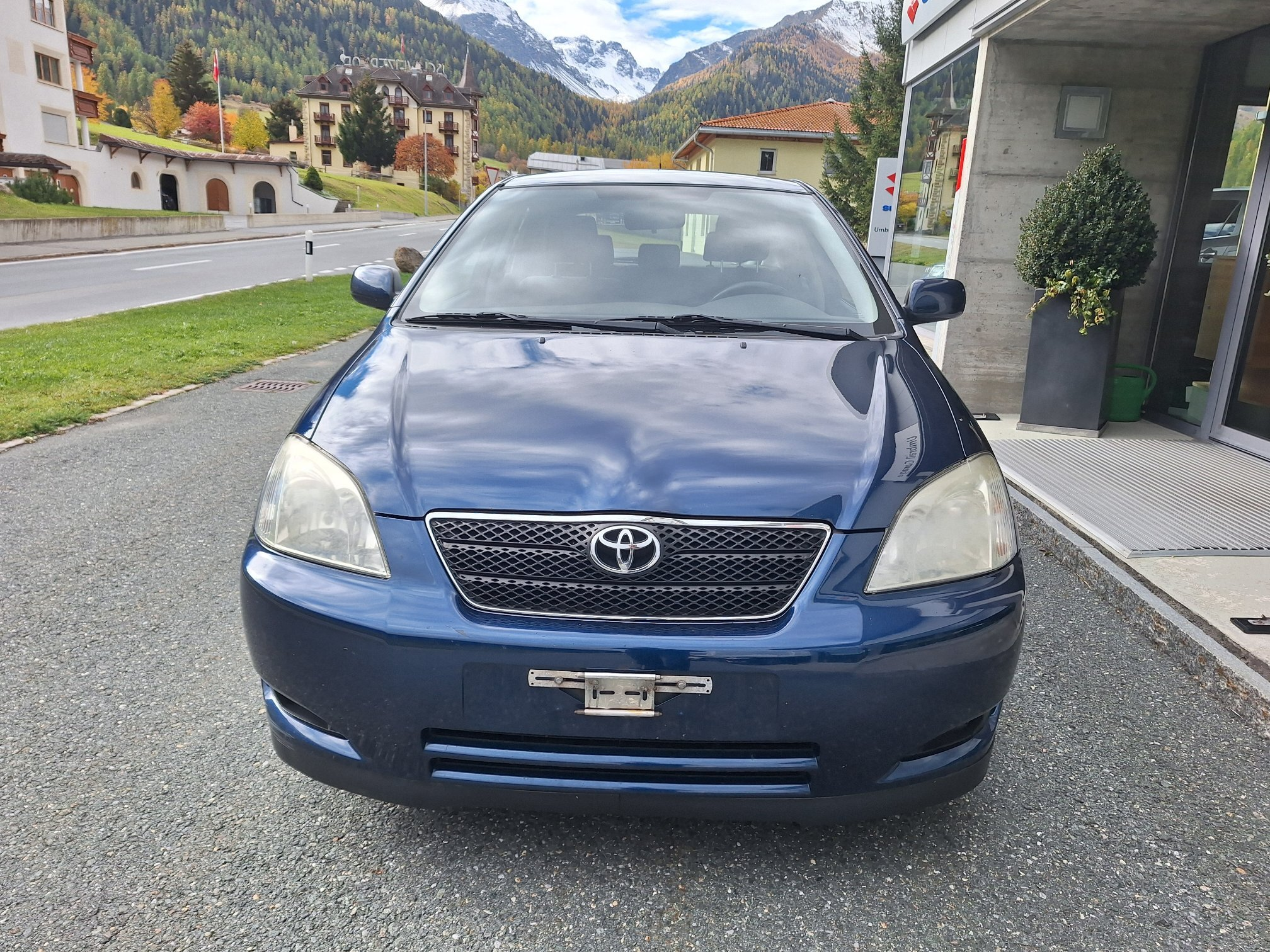 Auction Image